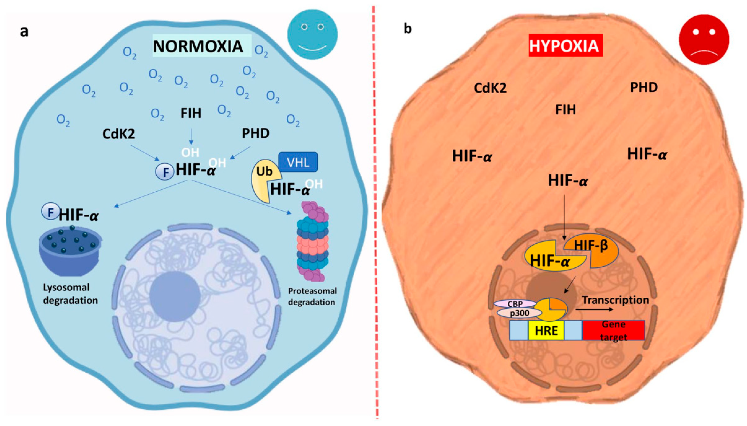 Biomimetics 10 00624 g002 Biomimetics 10 00624 g002