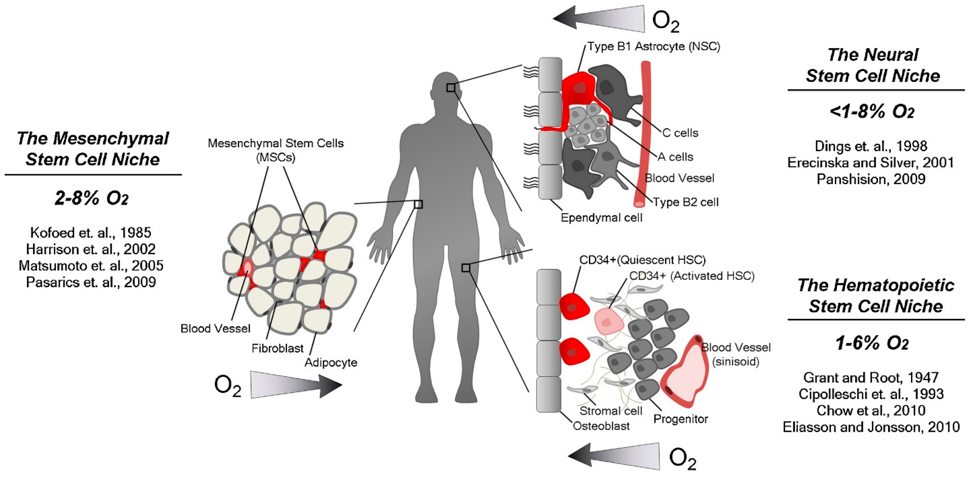 Biomimetics 10 00624 g003 Biomimetics 10 00624 g003