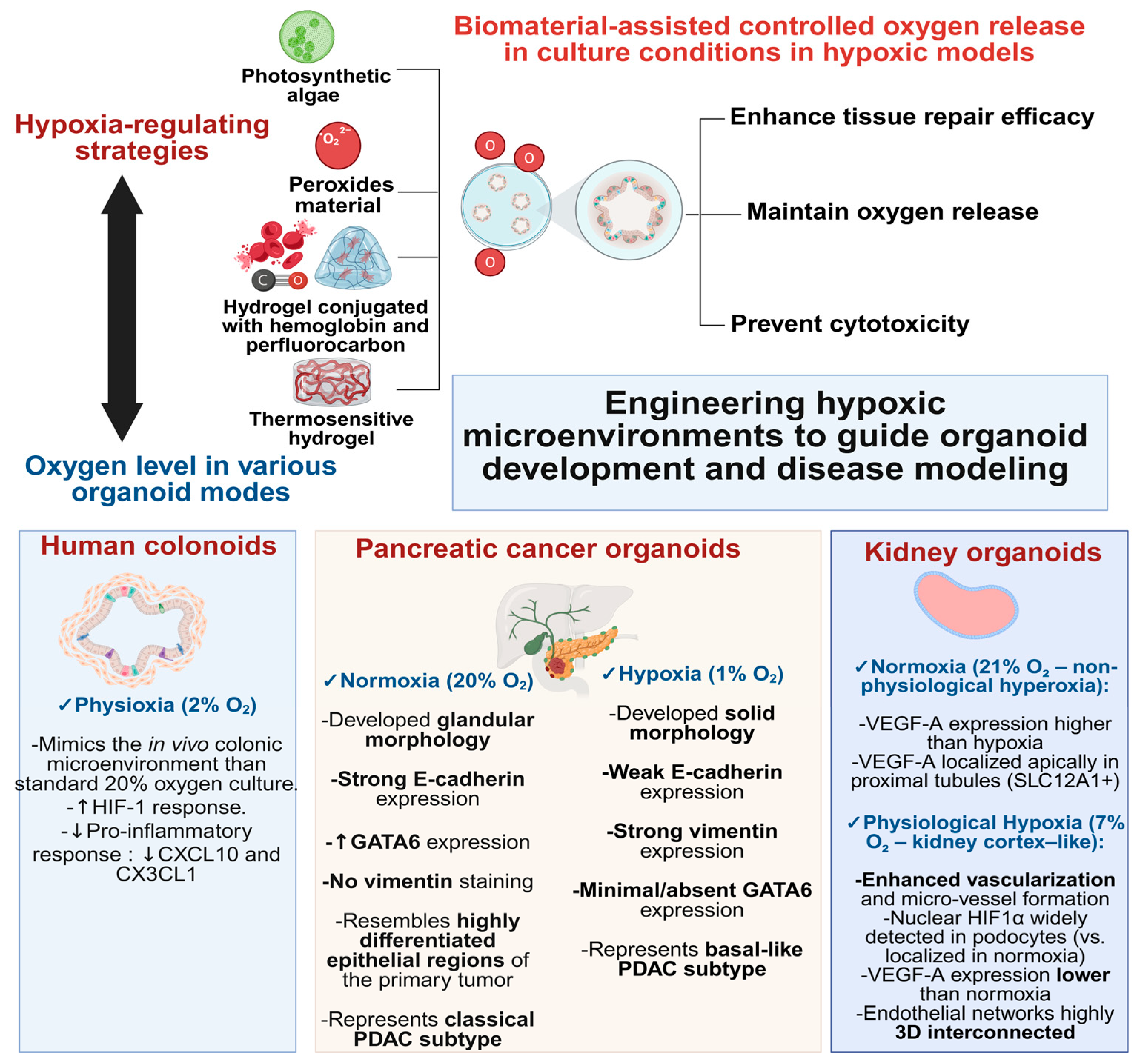 Biomimetics 10 00624 g007 Biomimetics 10 00624 g007
