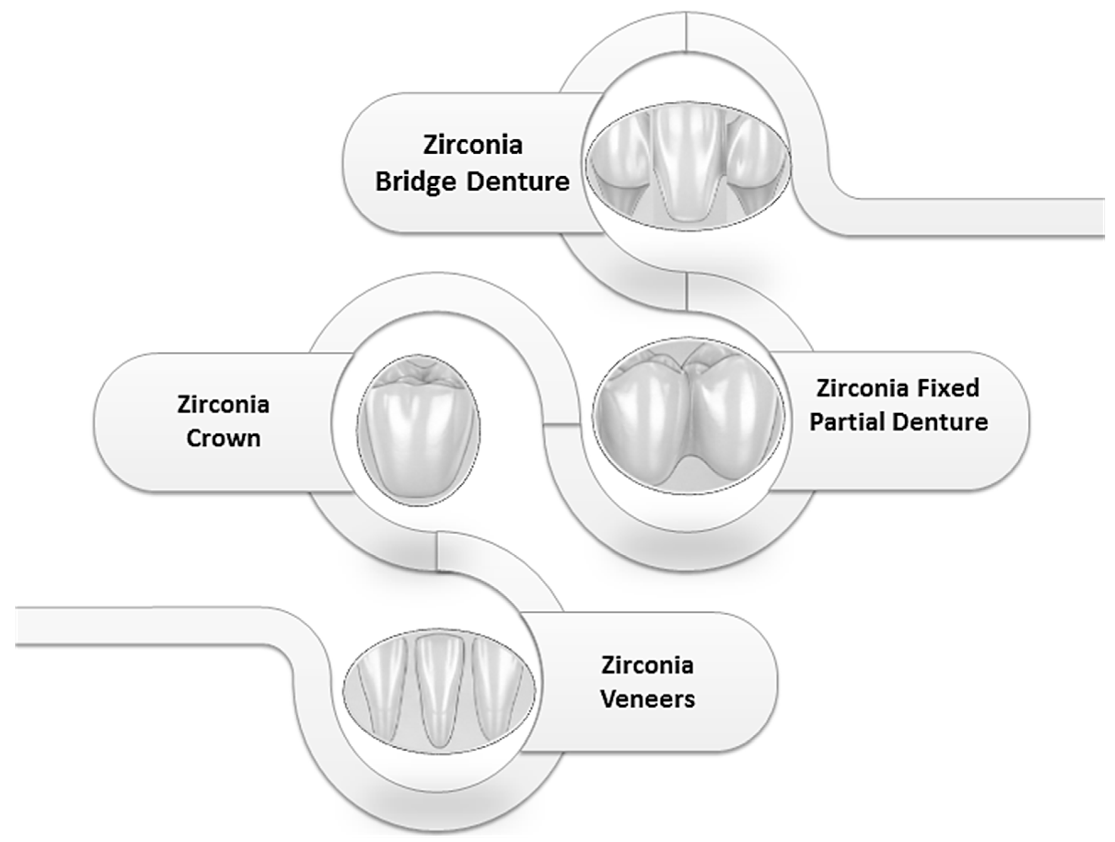 Biomimetics 10 00632 g001