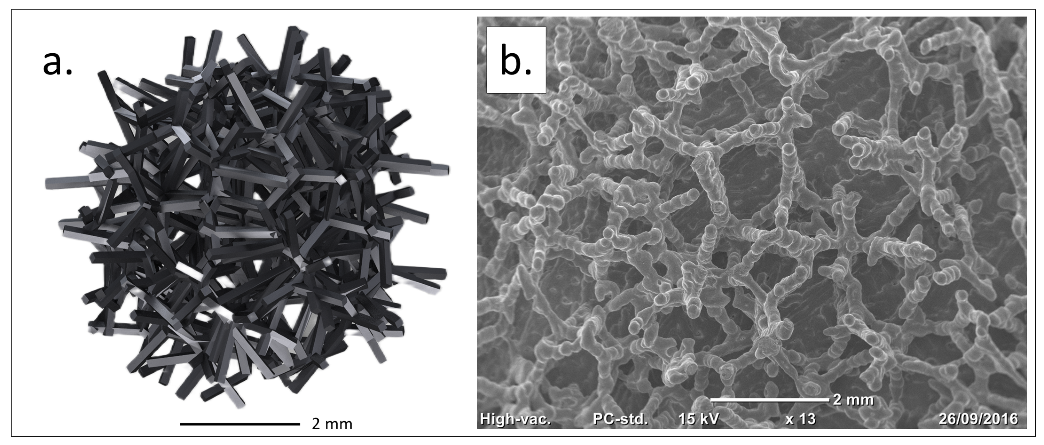 Biomimetics 10 00634 g001