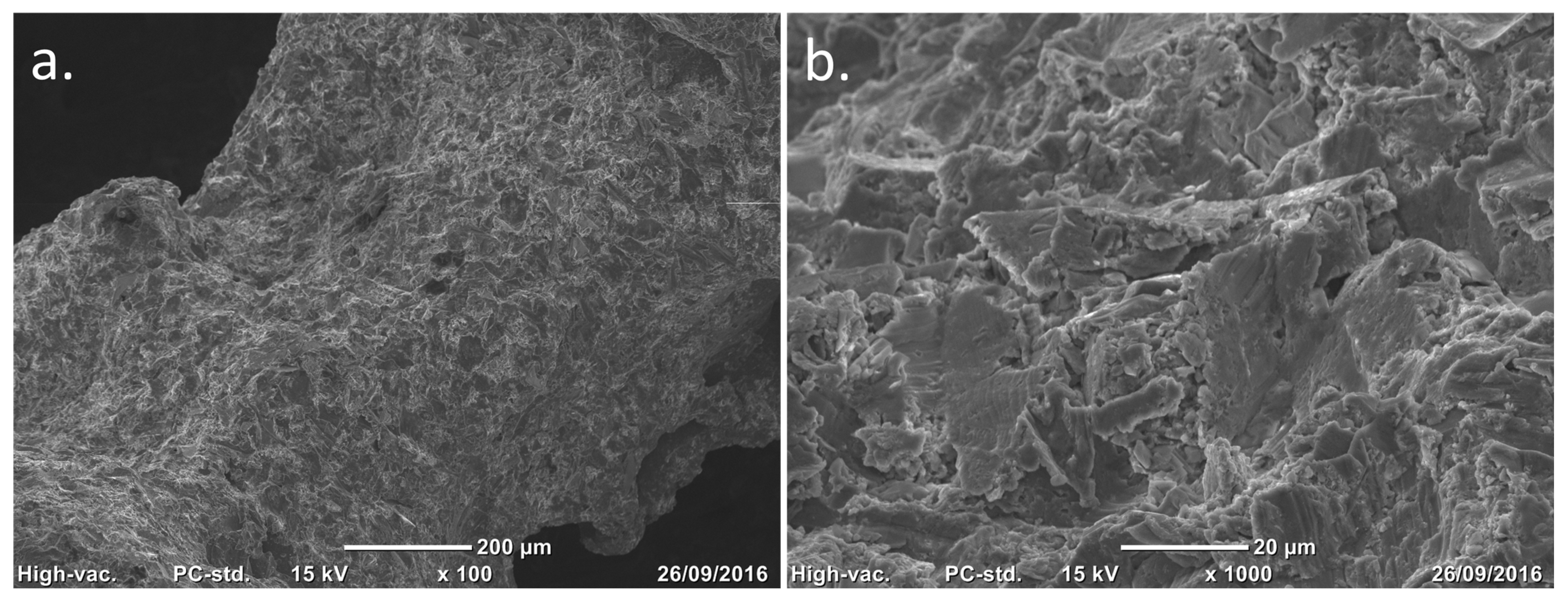 Biomimetics 10 00634 g002