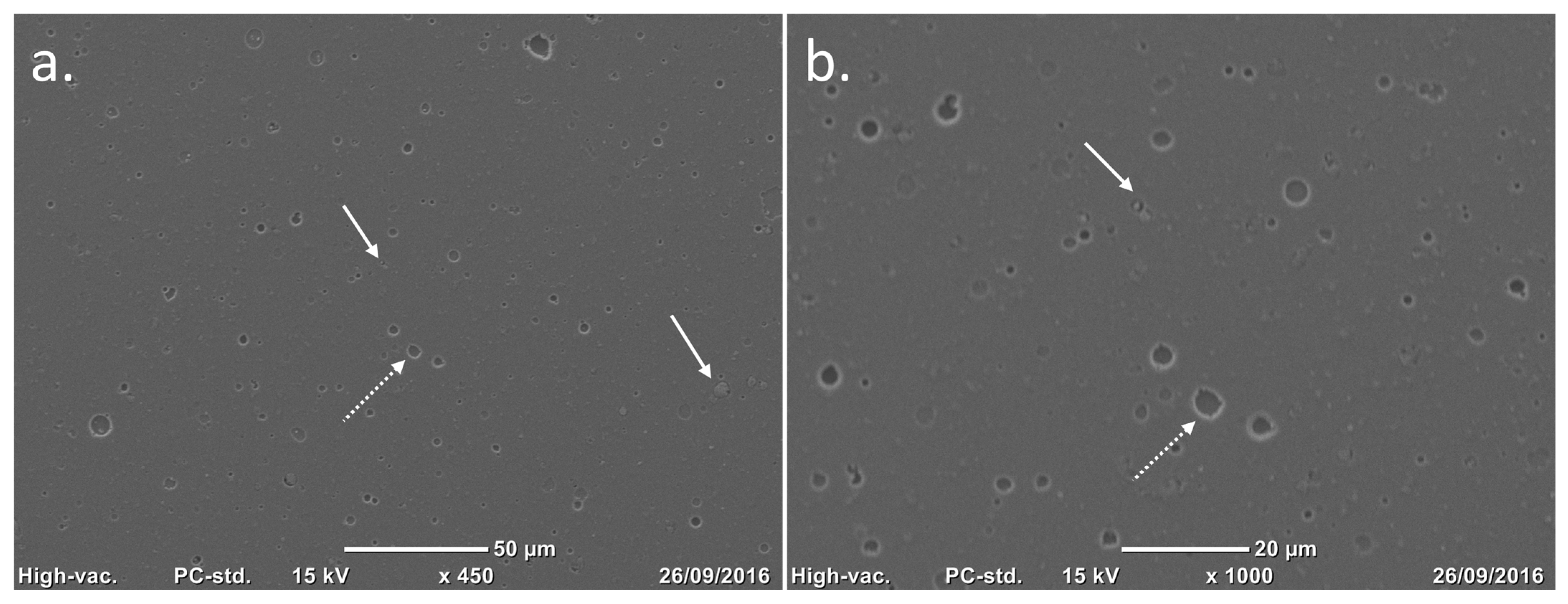 Biomimetics 10 00634 g003