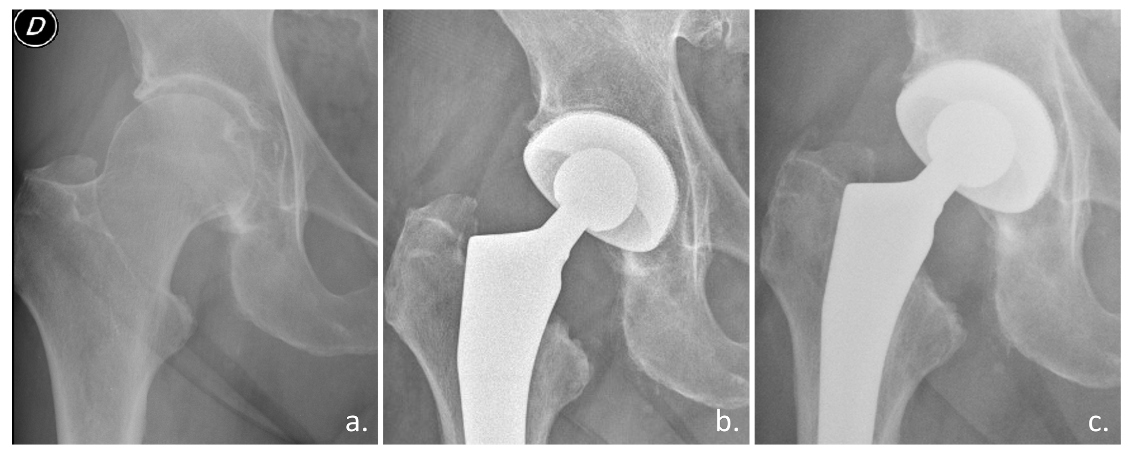Biomimetics 10 00634 g004