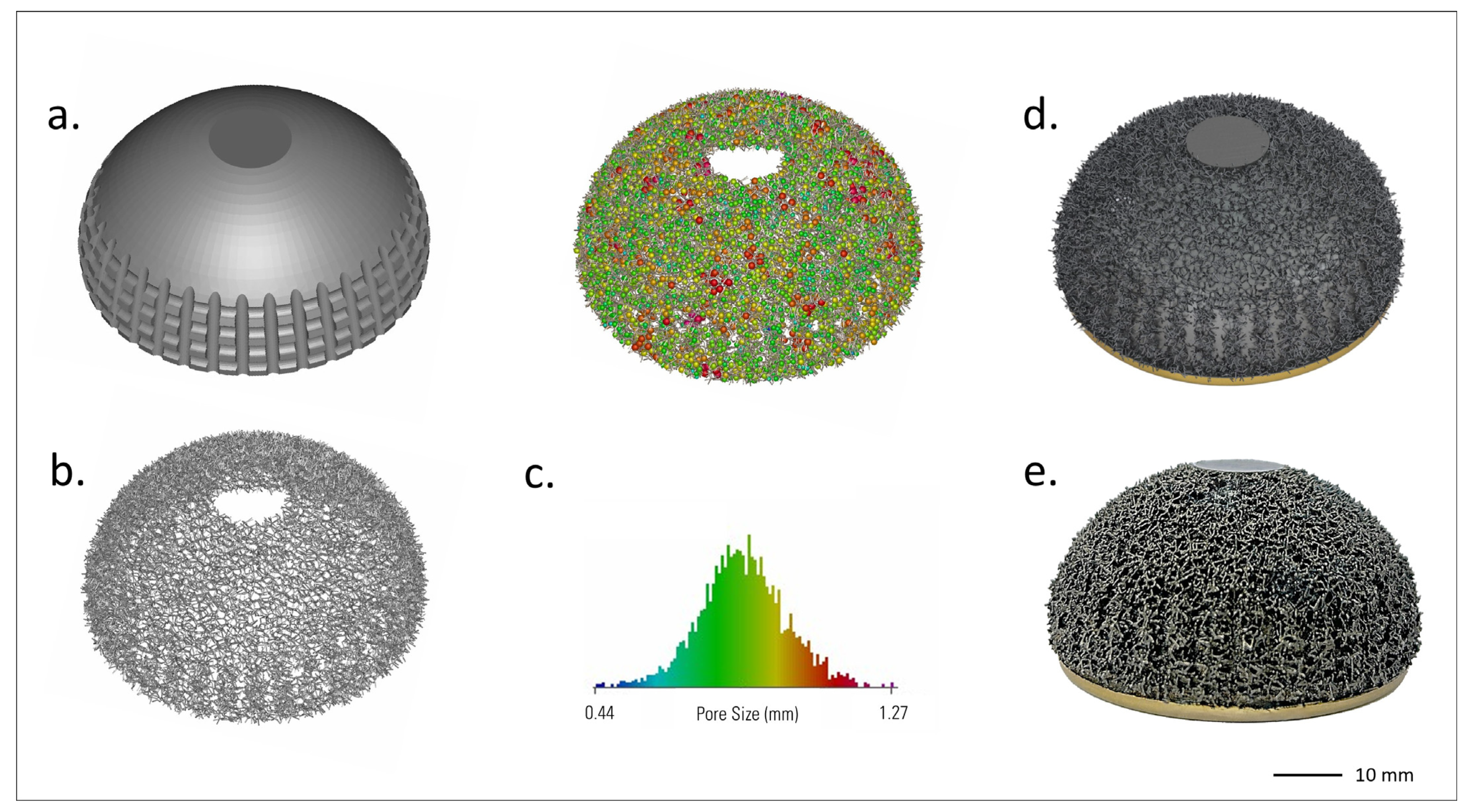 Biomimetics 10 00634 g005