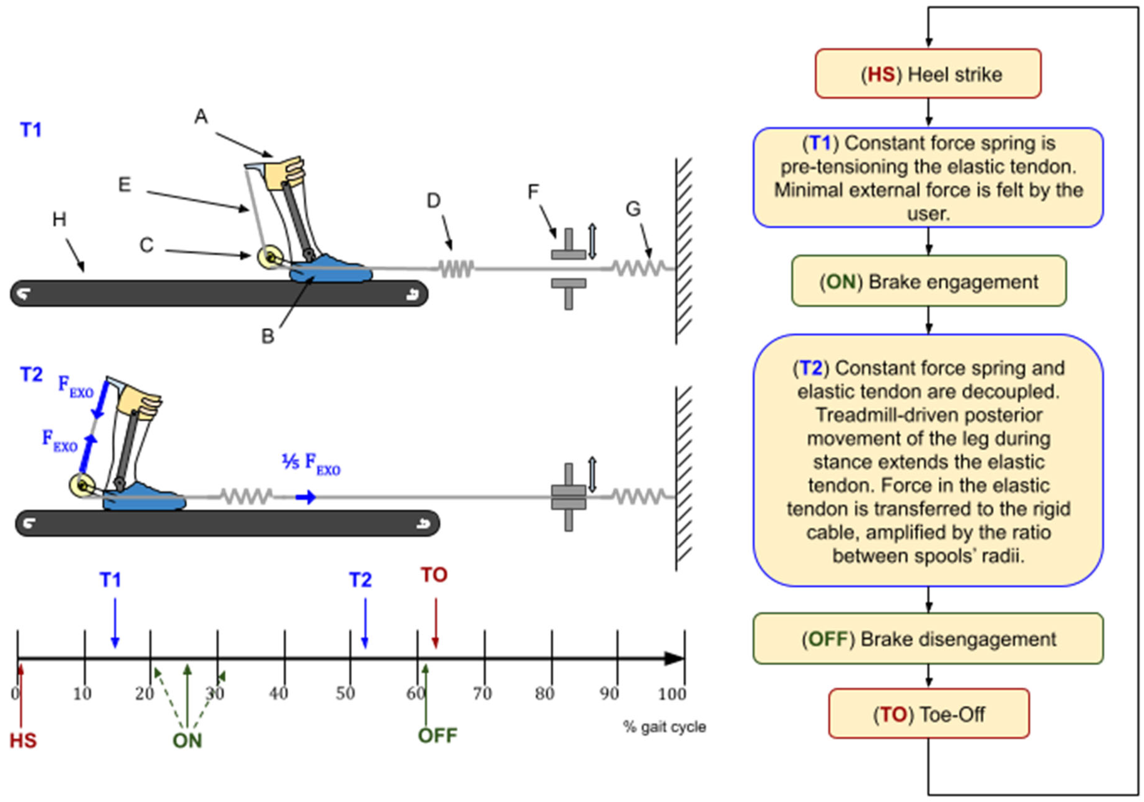 Biomimetics 10 00635 g001
