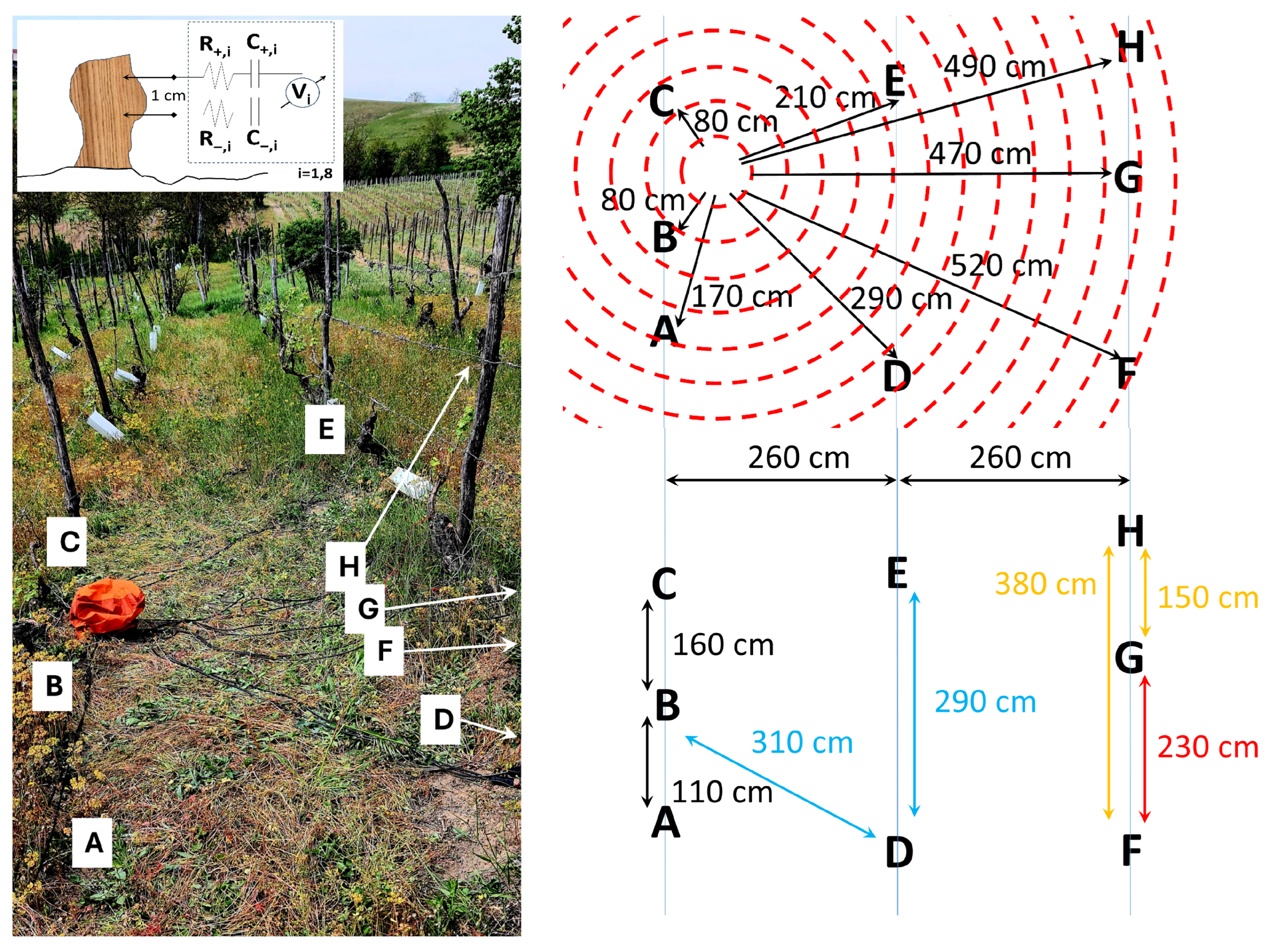 Biomimetics 10 00636 g001 Biomimetics 10 00636 g001