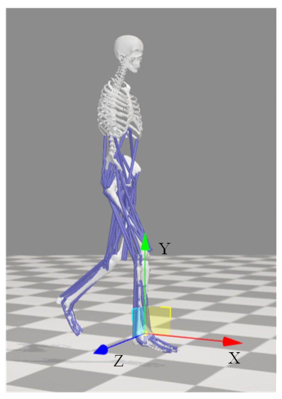 Biomimetics 10 00637 g002
