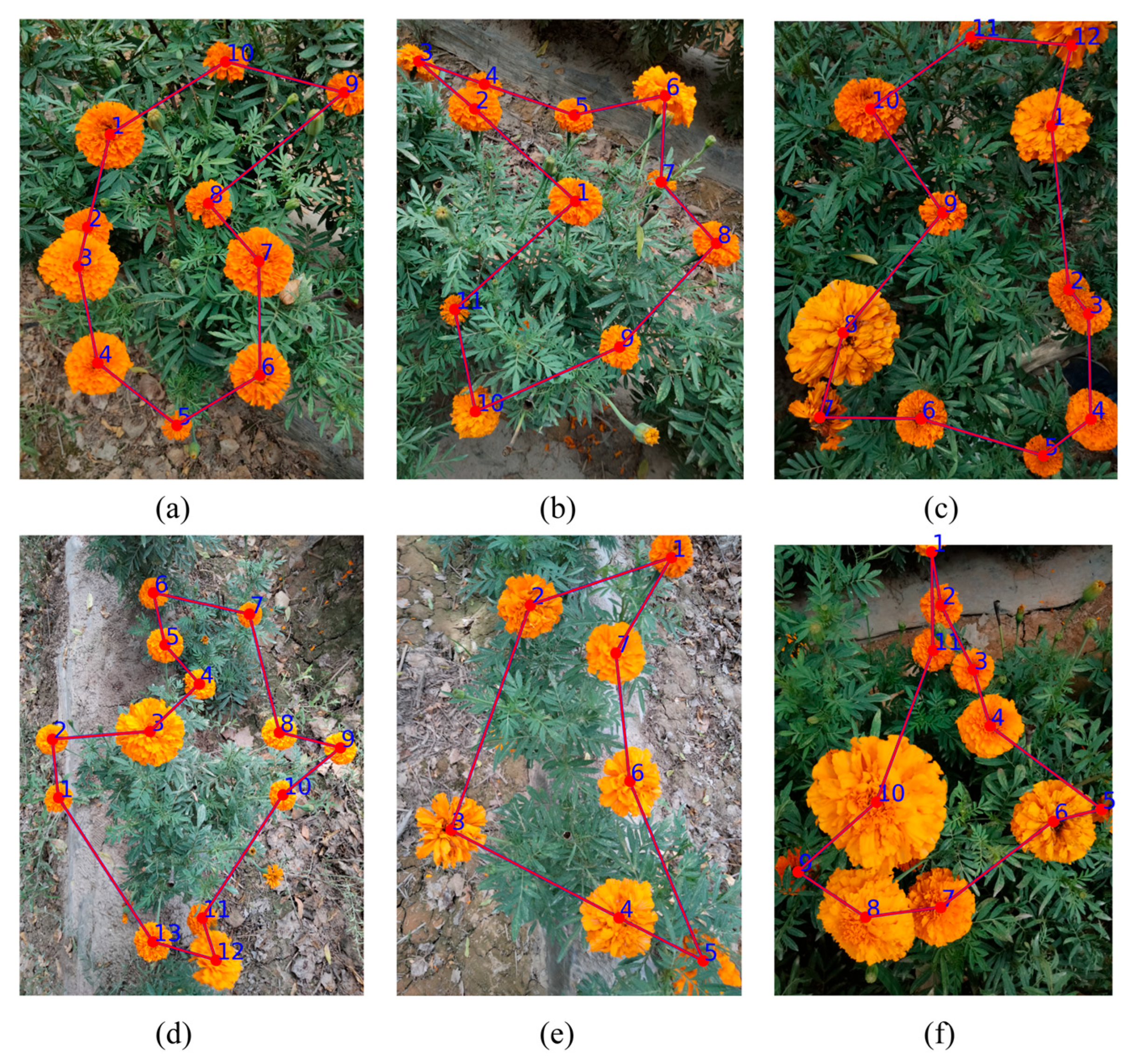 Biomimetics 10 00648 g011