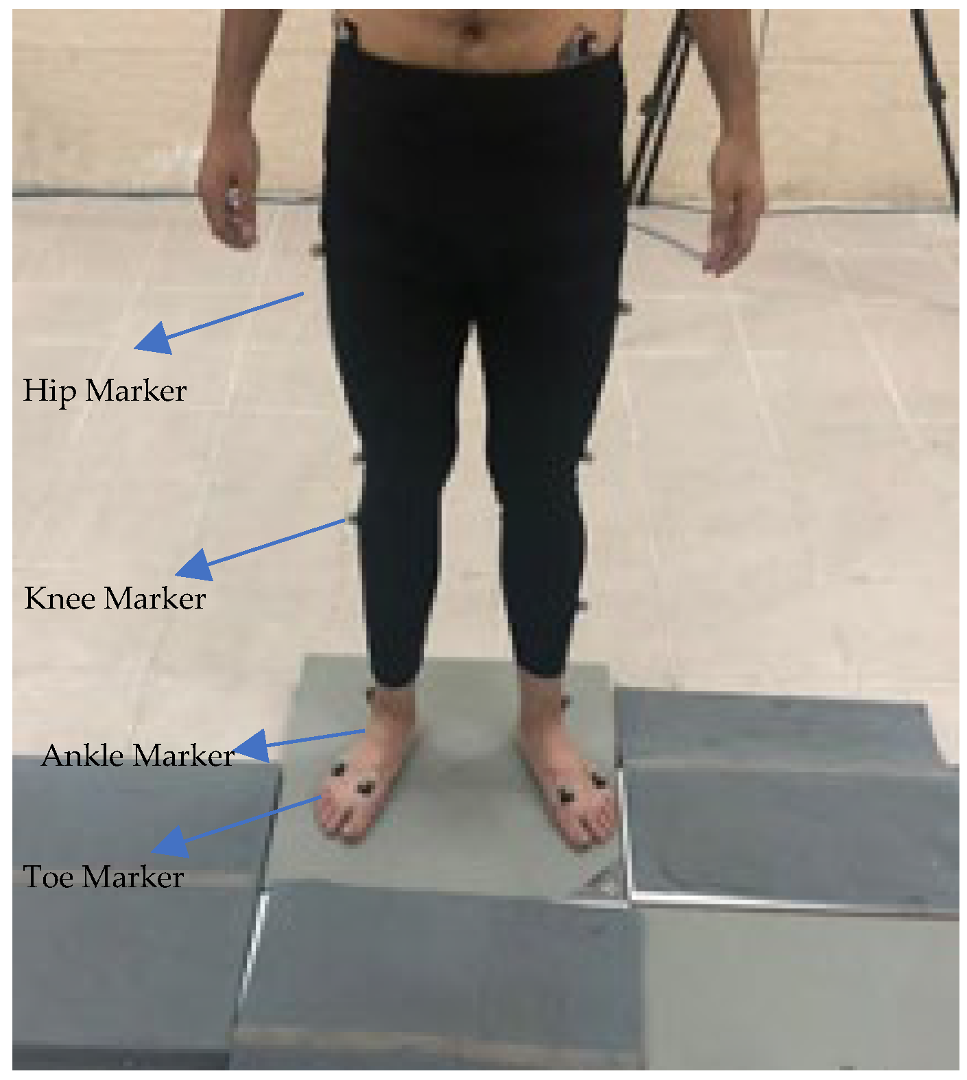 Biomimetics 10 00649 g001
