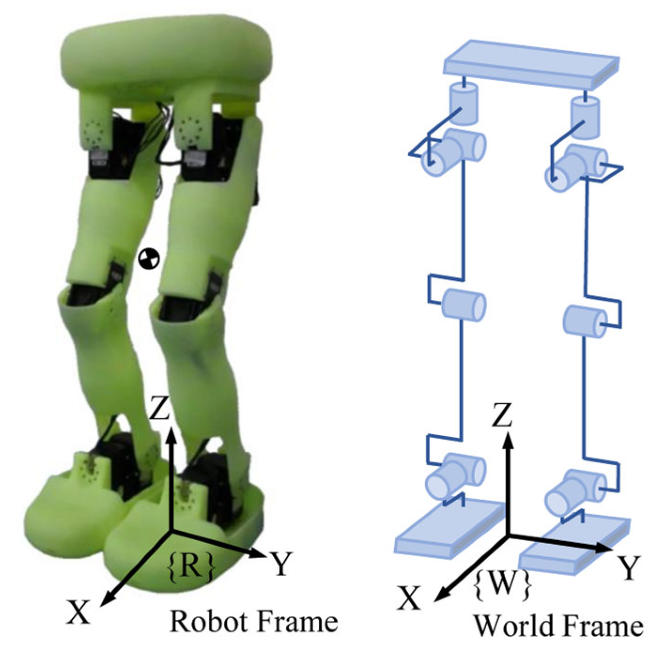 Biomimetics 10 00654 g001