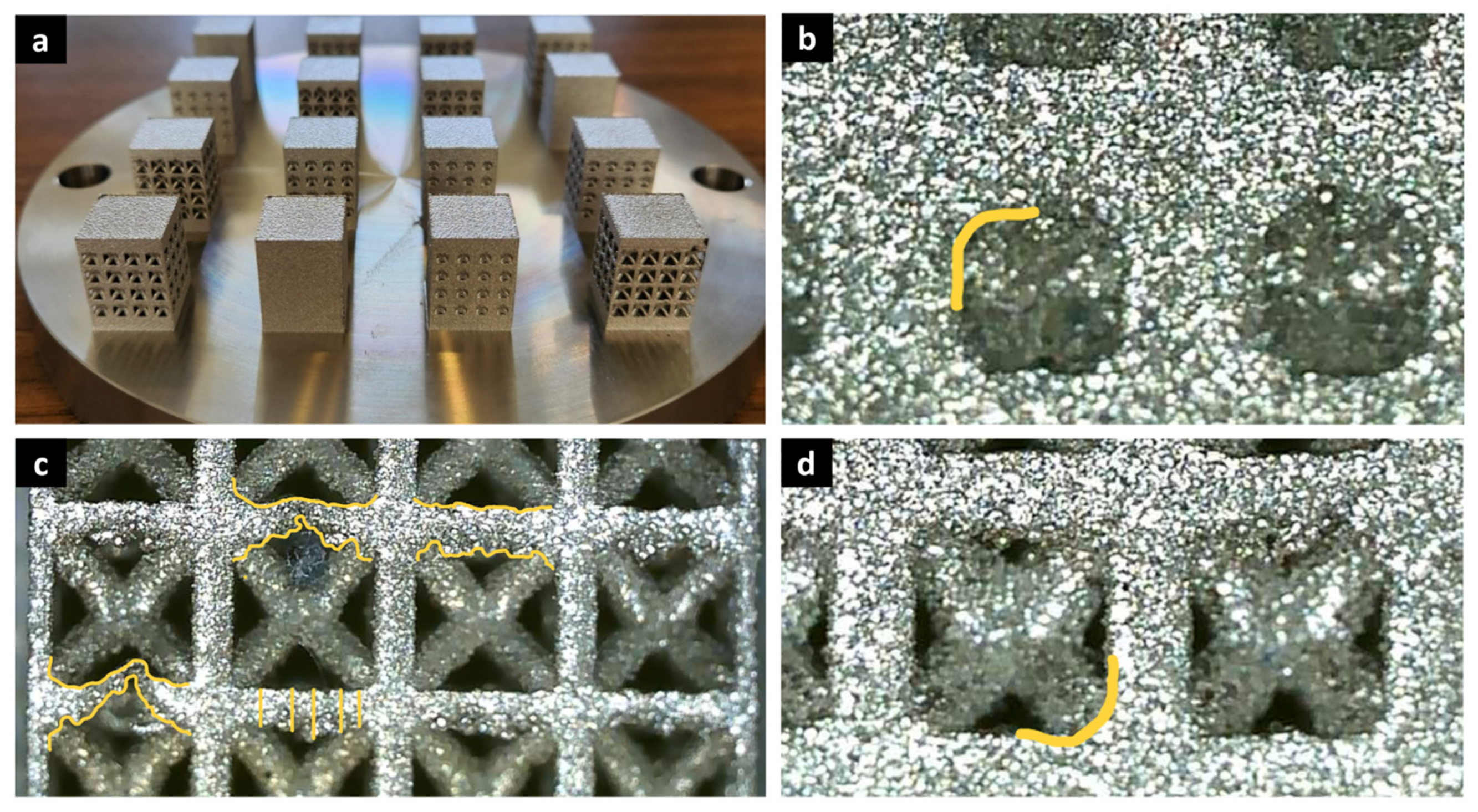 Biomimetics 10 00680 g008