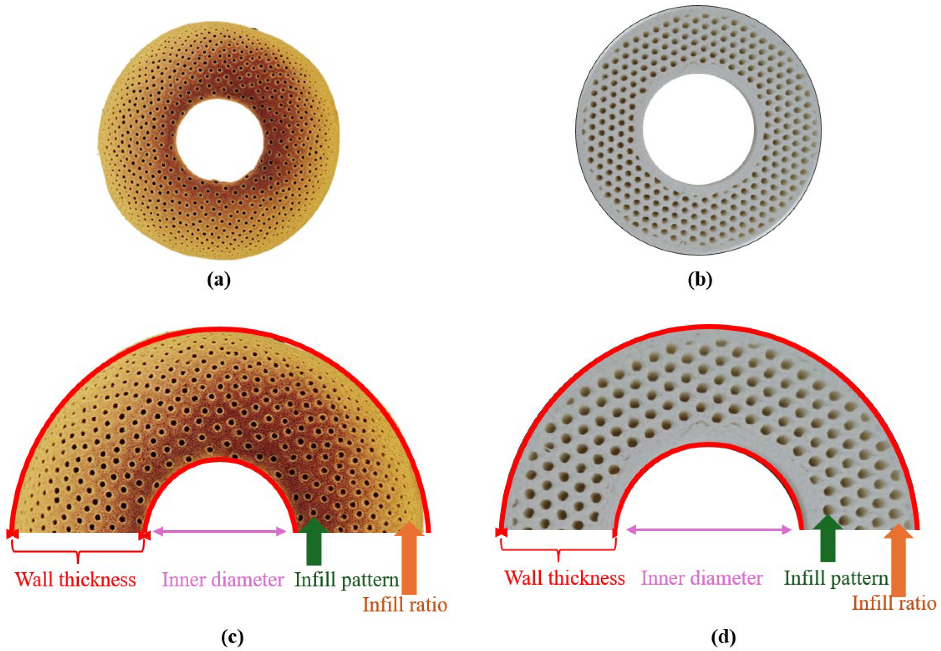 Biomimetics 10 00702 g001