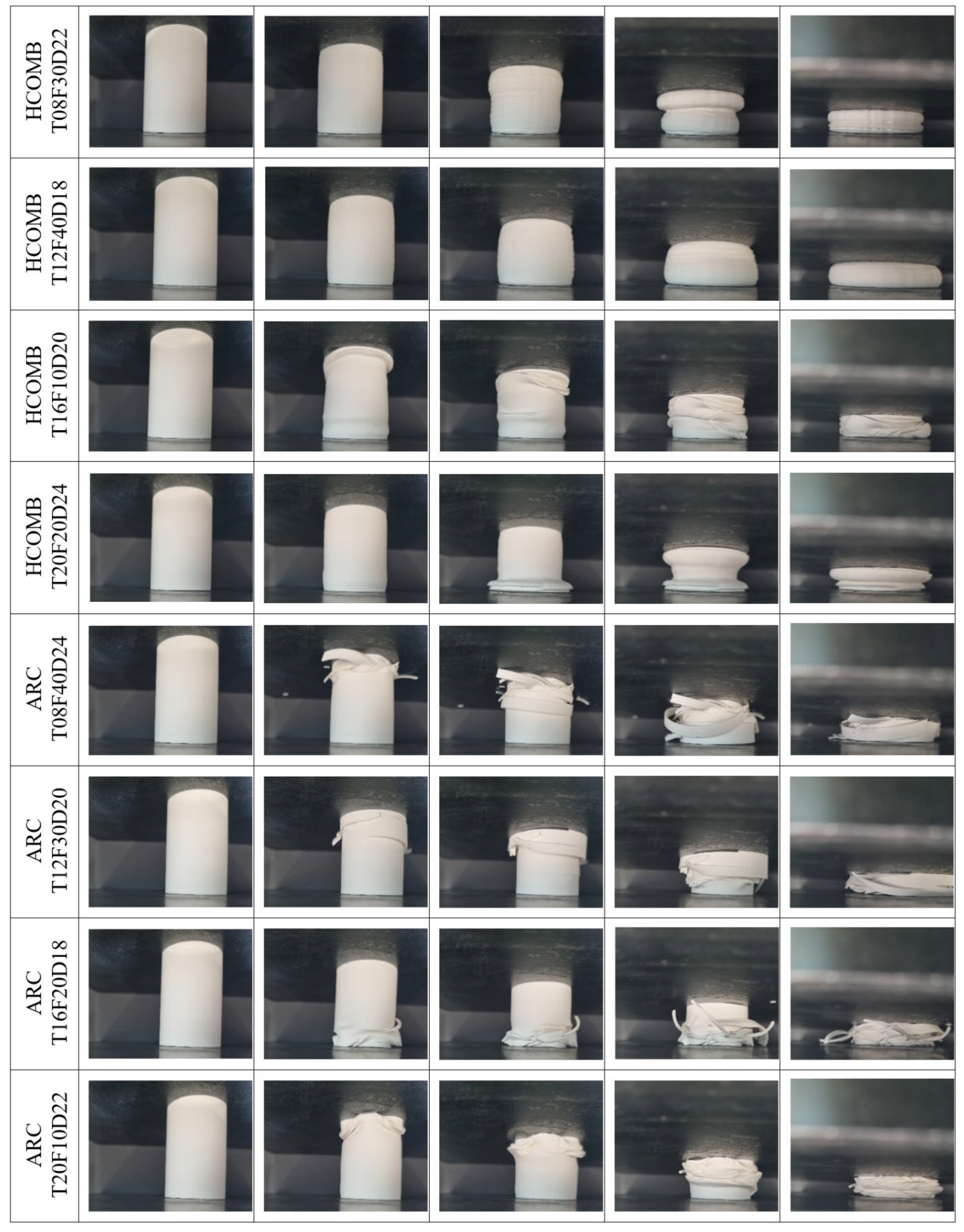 Biomimetics 10 00702 g004