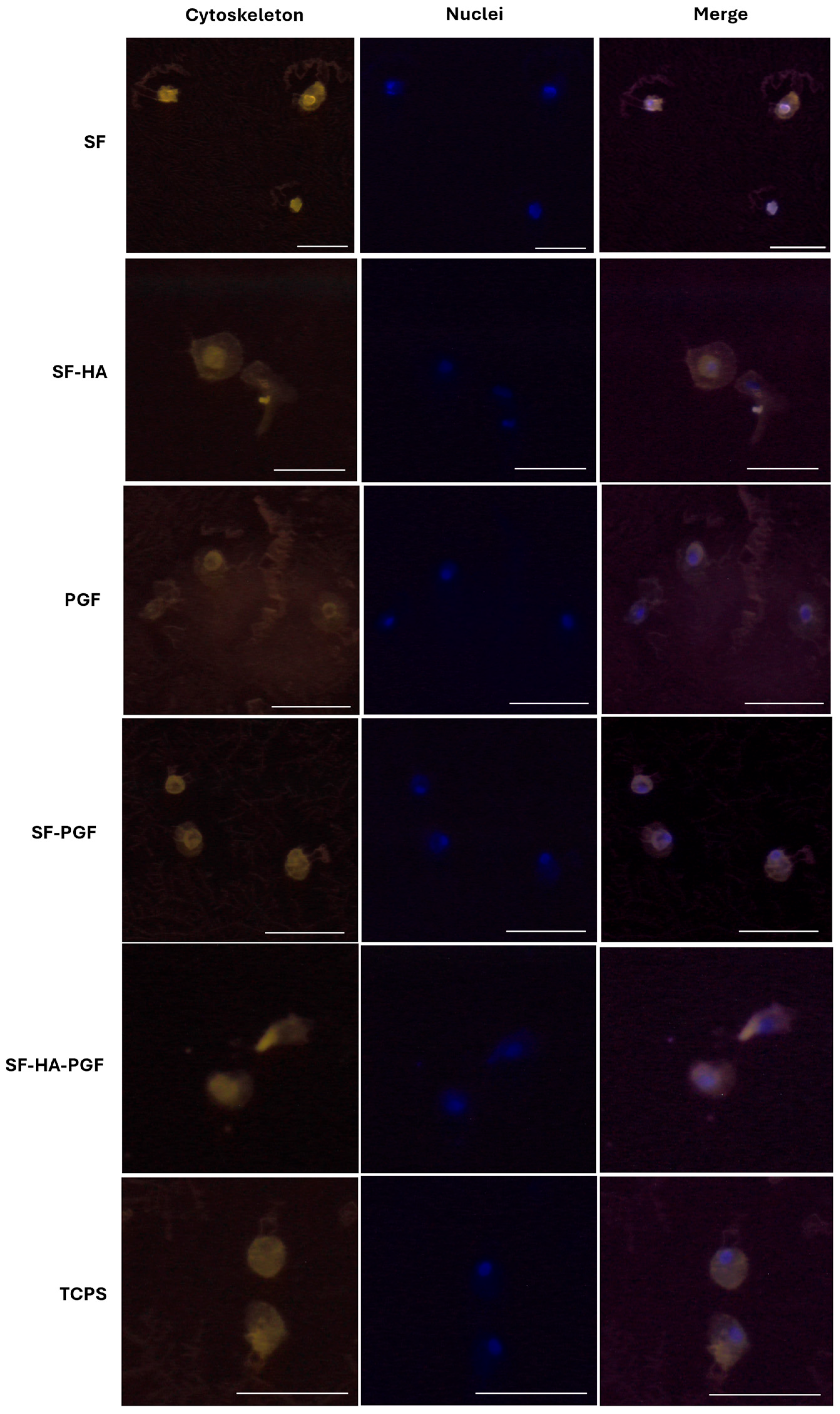 Biomimetics 10 00703 g003