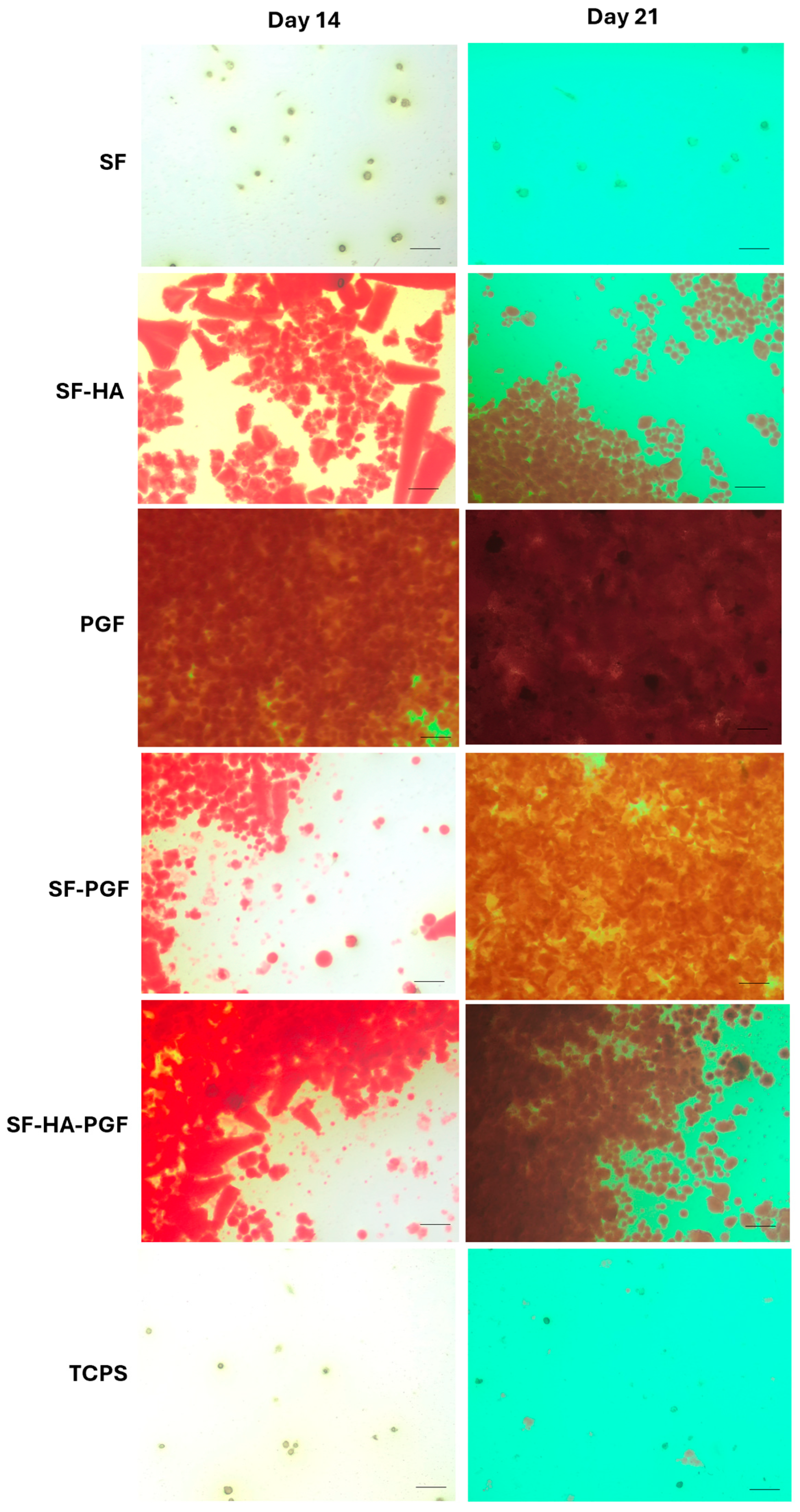 Biomimetics 10 00703 g004