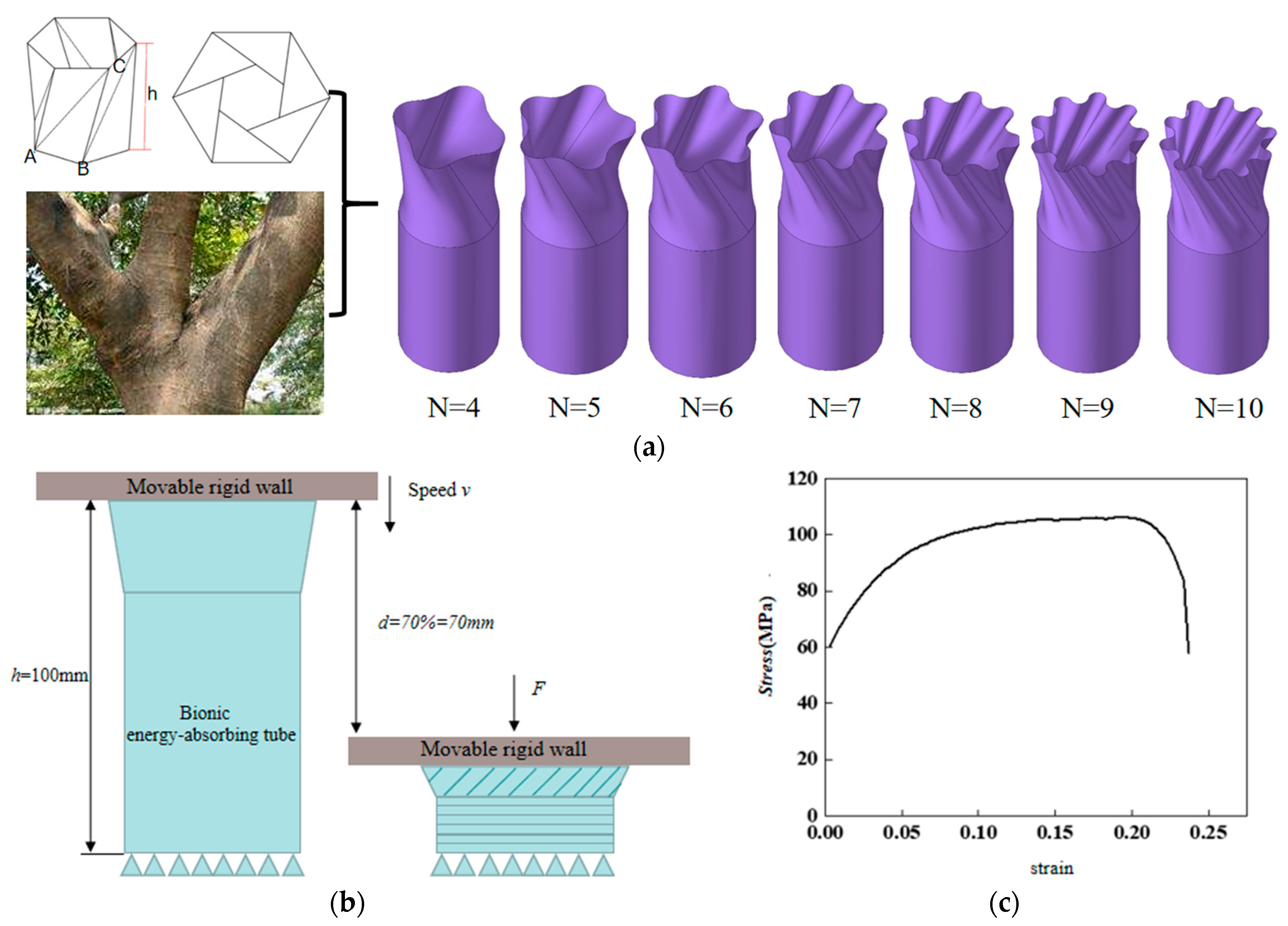 Biomimetics 10 00705 g001