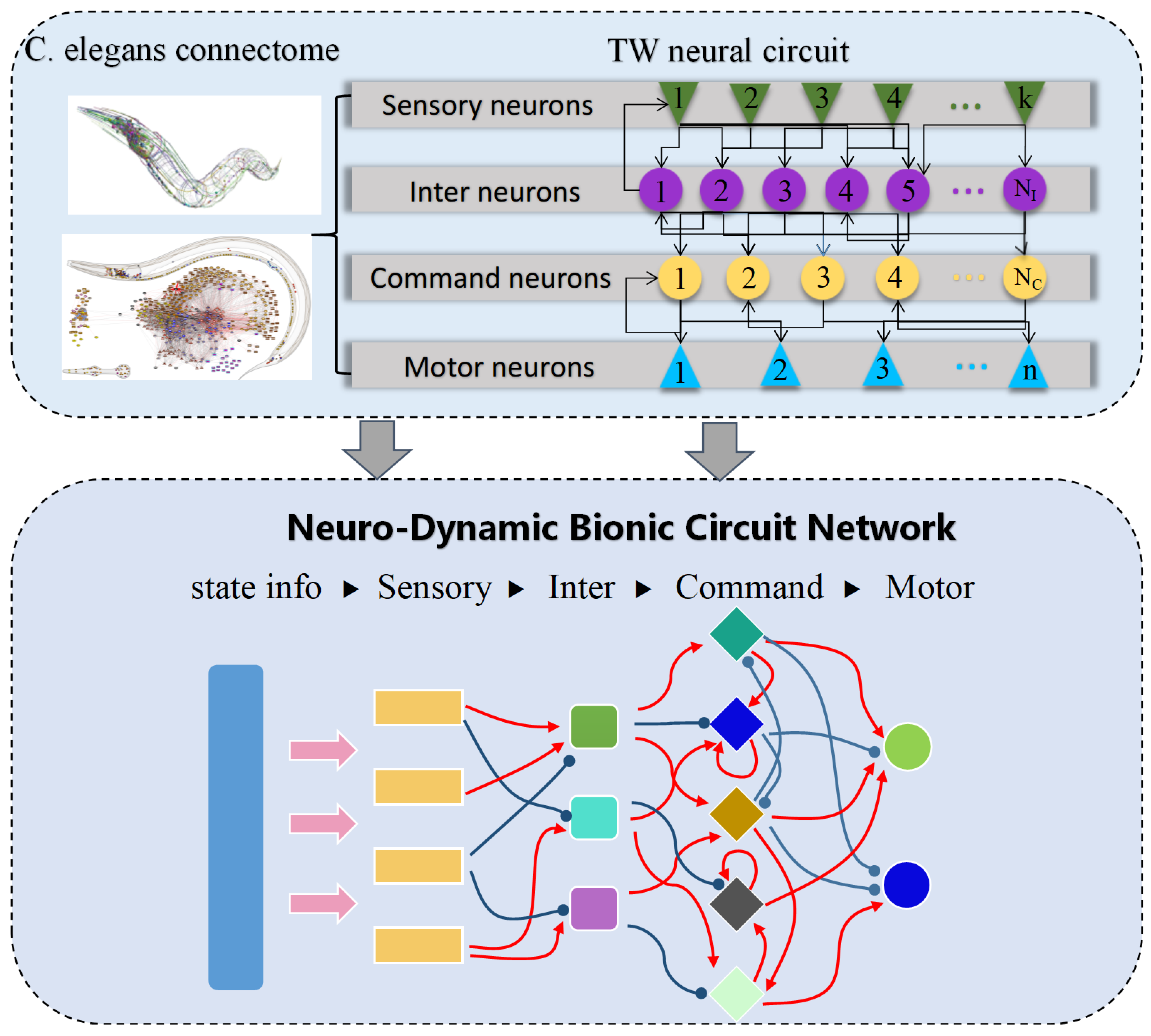 Biomimetics 10 00715 g002