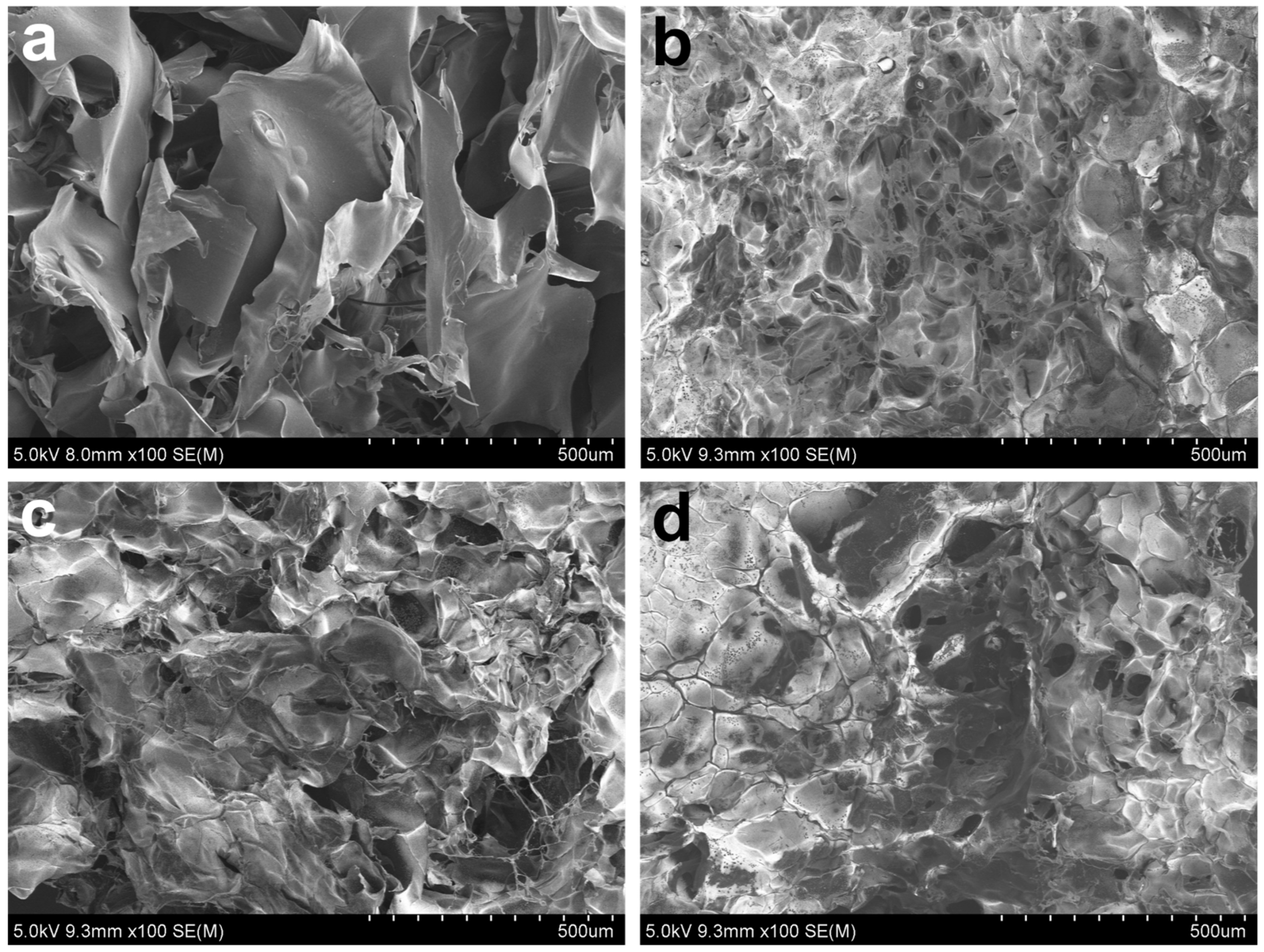 Biomimetics 10 00720 g006