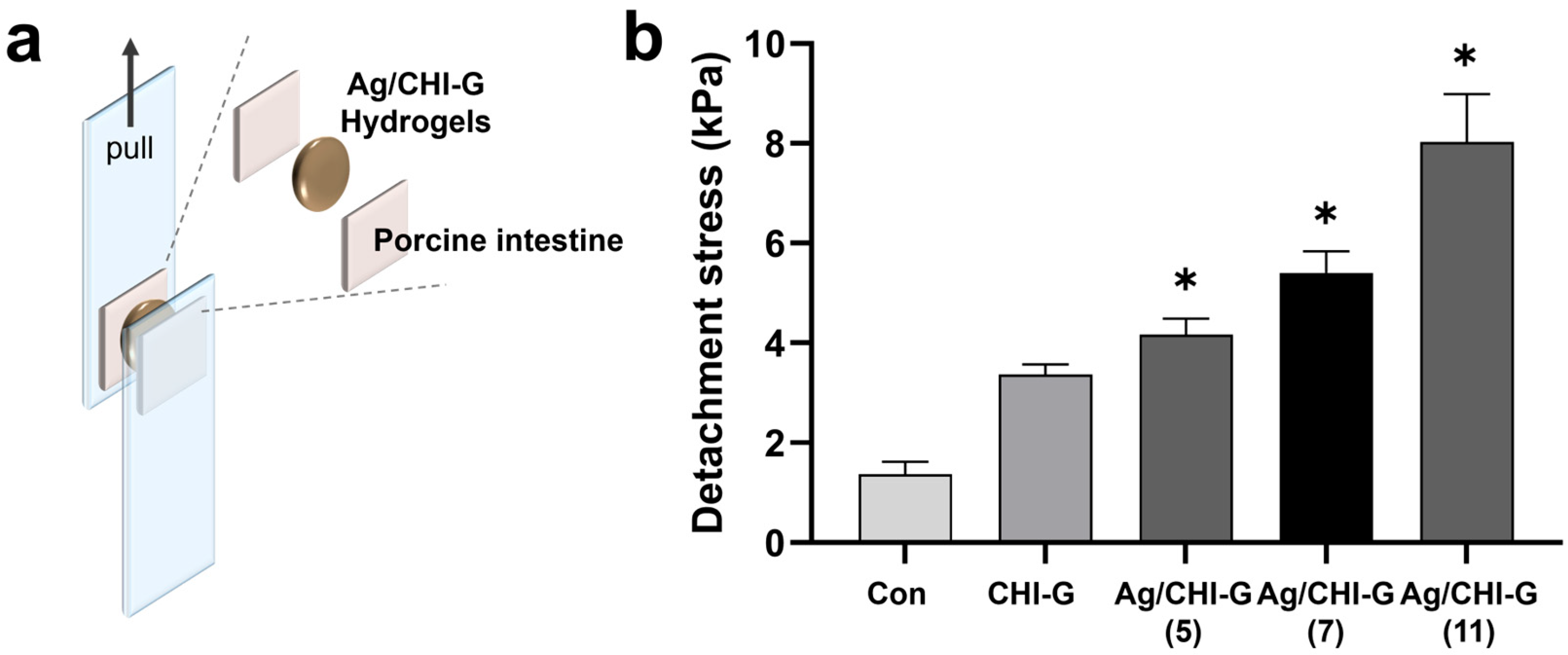 Biomimetics 10 00720 g007