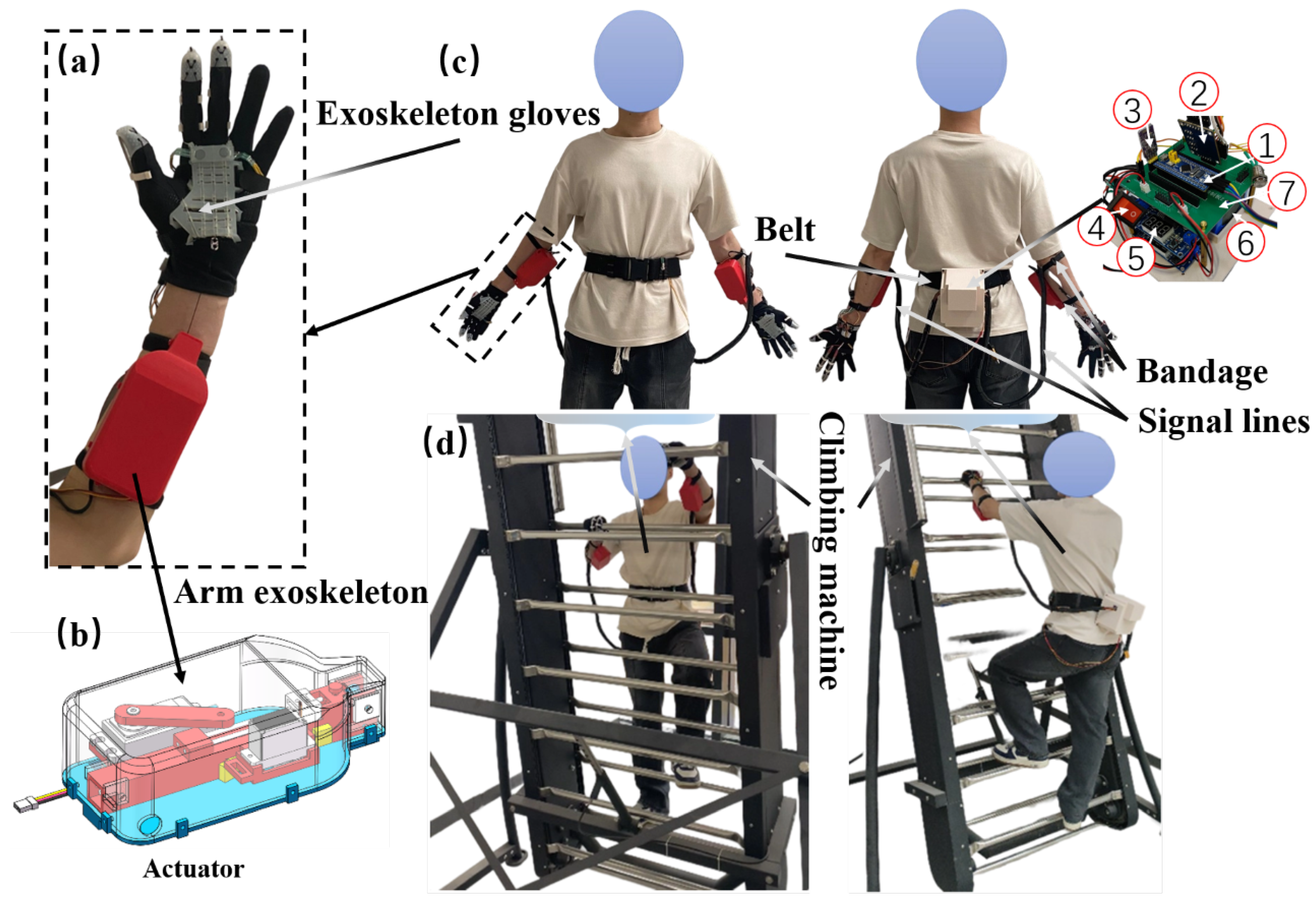 Biomimetics 10 00721 g001