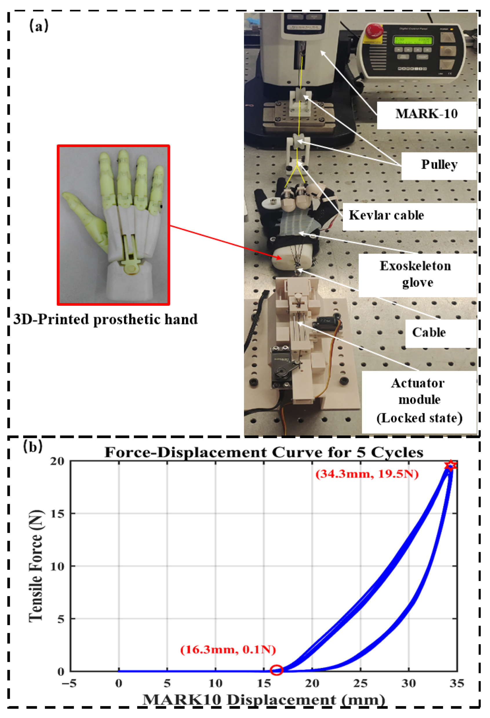 Biomimetics 10 00721 g003