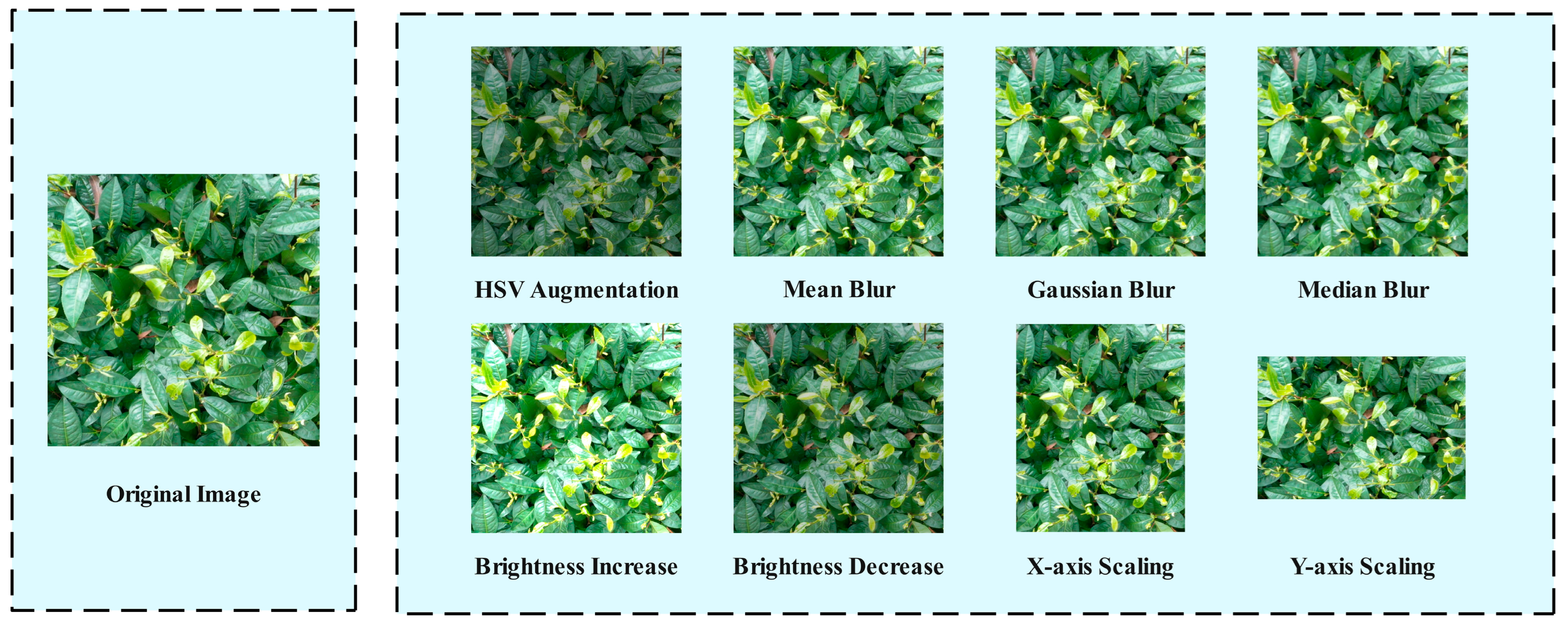 Biomimetics 10 00724 g002