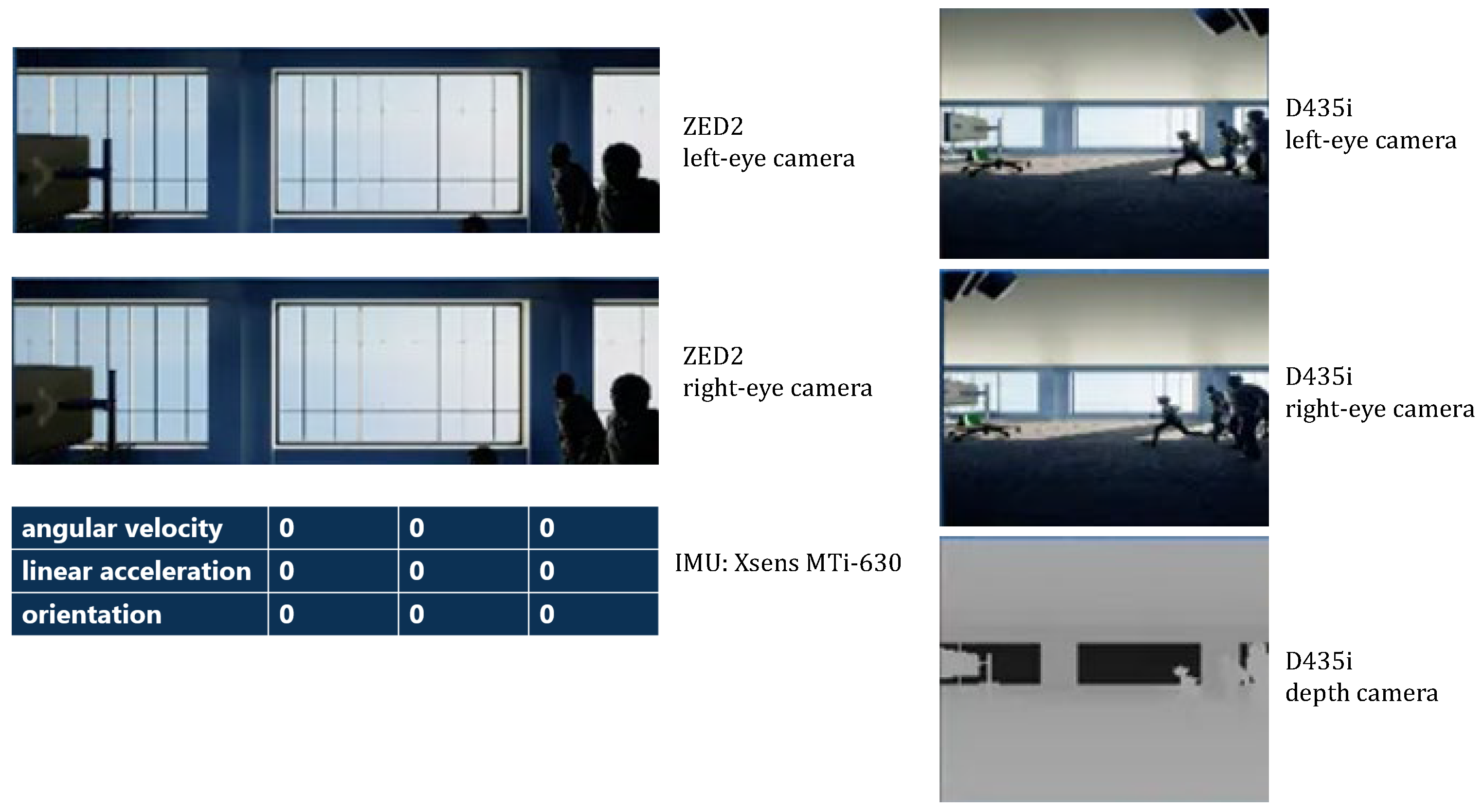 Biomimetics 10 00725 g006