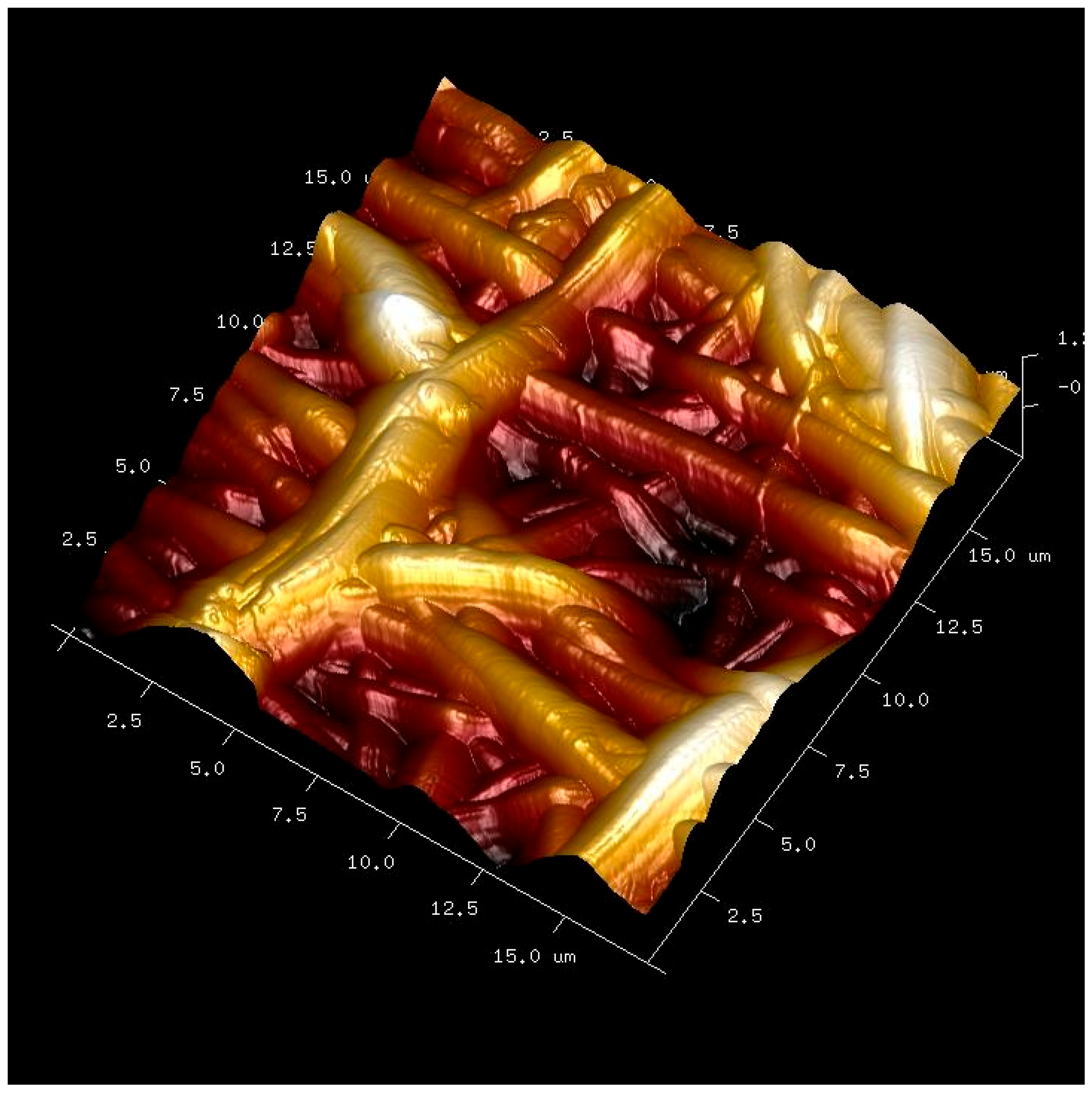 Biomimetics 10 00726 g001 Biomimetics 10 00726 g001