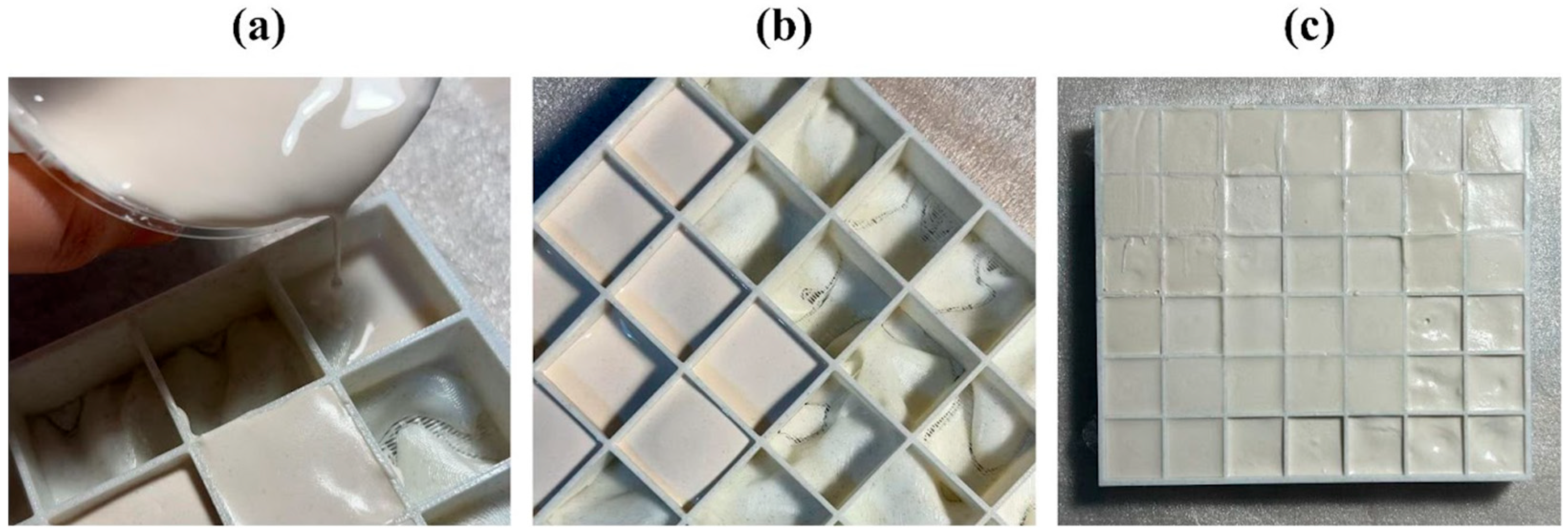 Biomimetics 10 00729 g003
