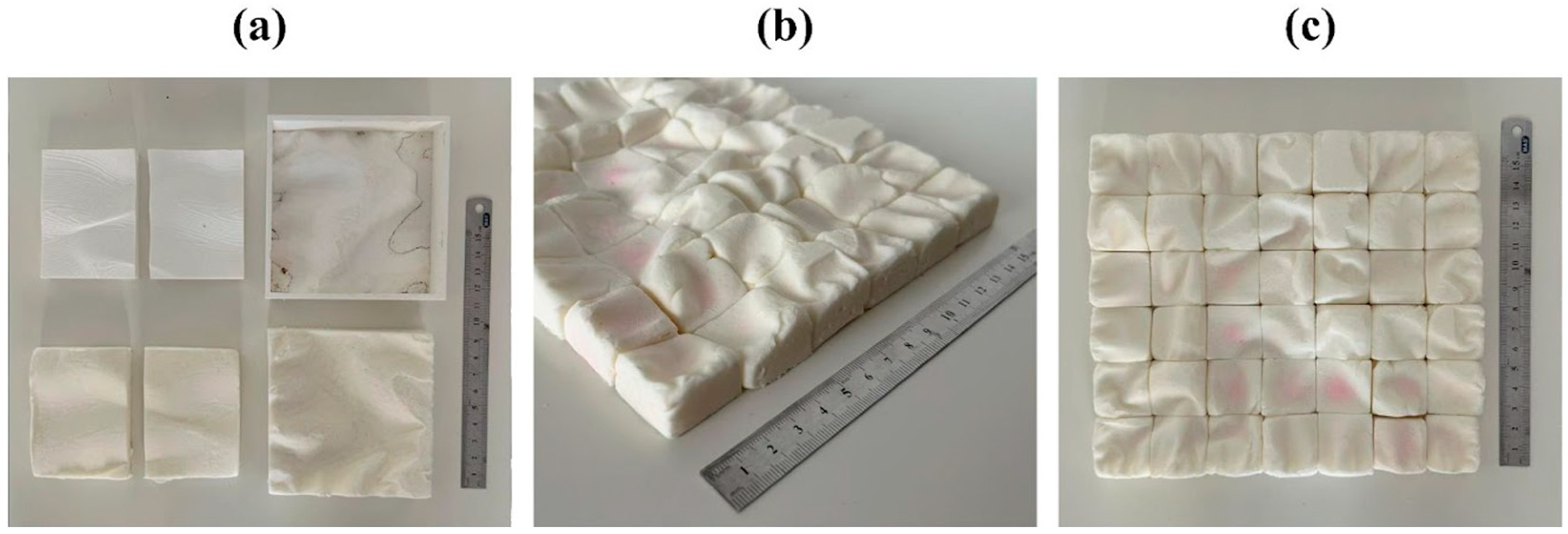 Biomimetics 10 00729 g004