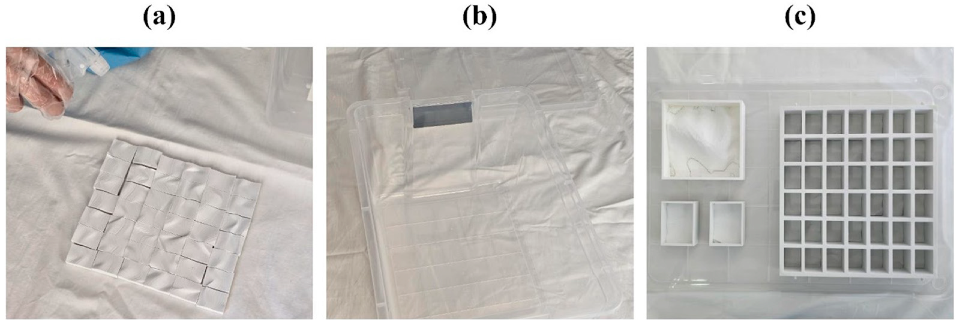 Biomimetics 10 00729 g005