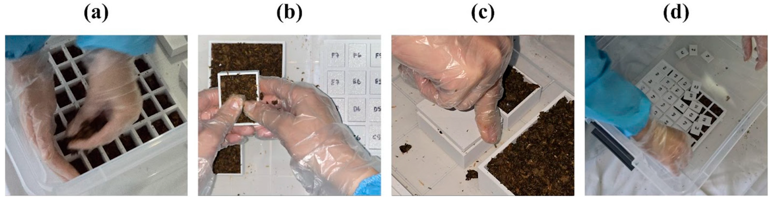Biomimetics 10 00729 g006