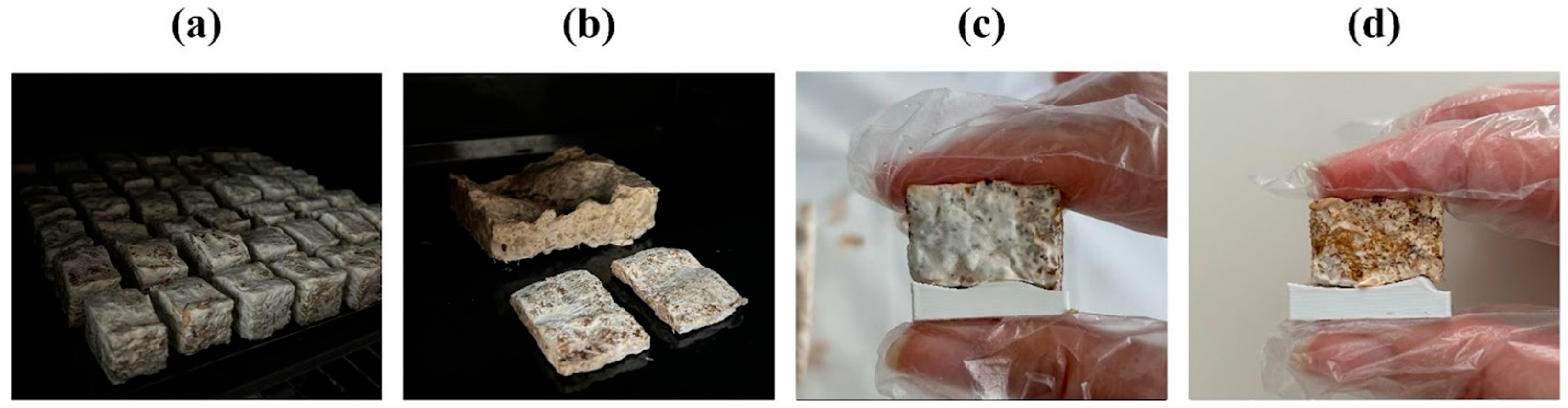 Biomimetics 10 00729 g009