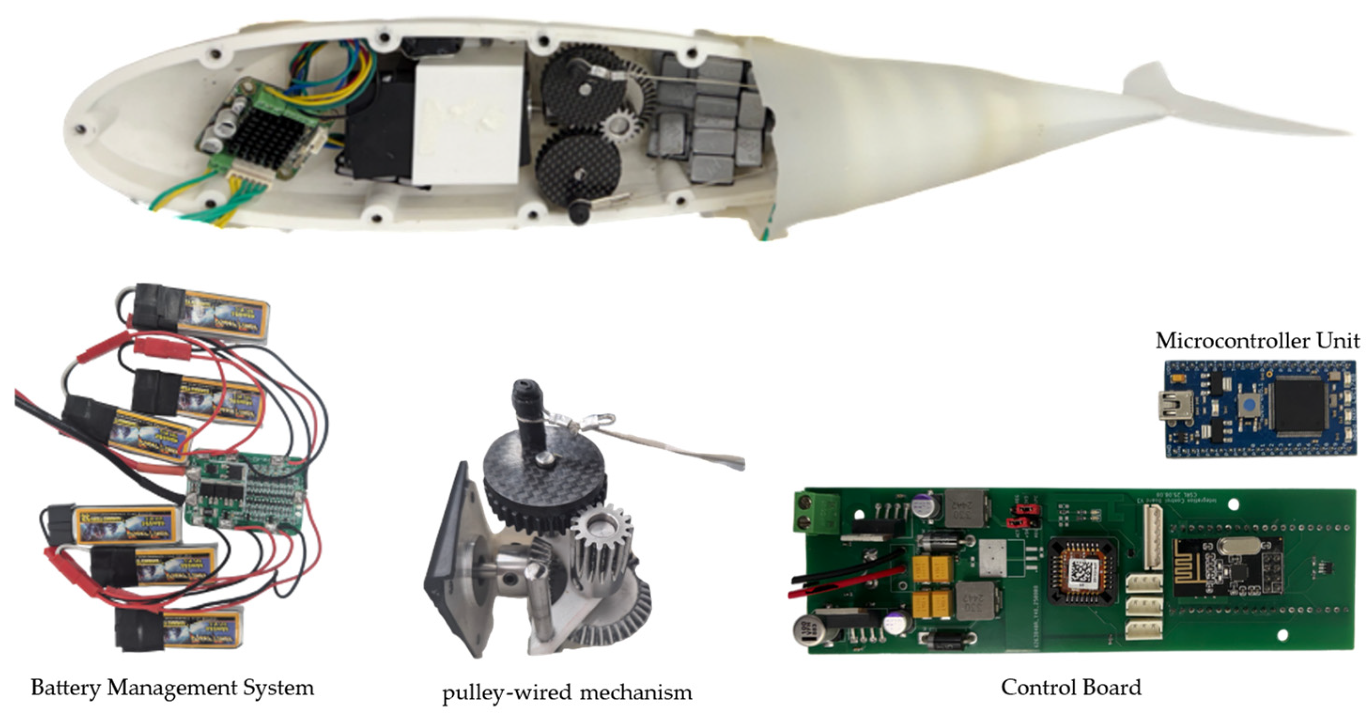 Biomimetics 10 00731 g002