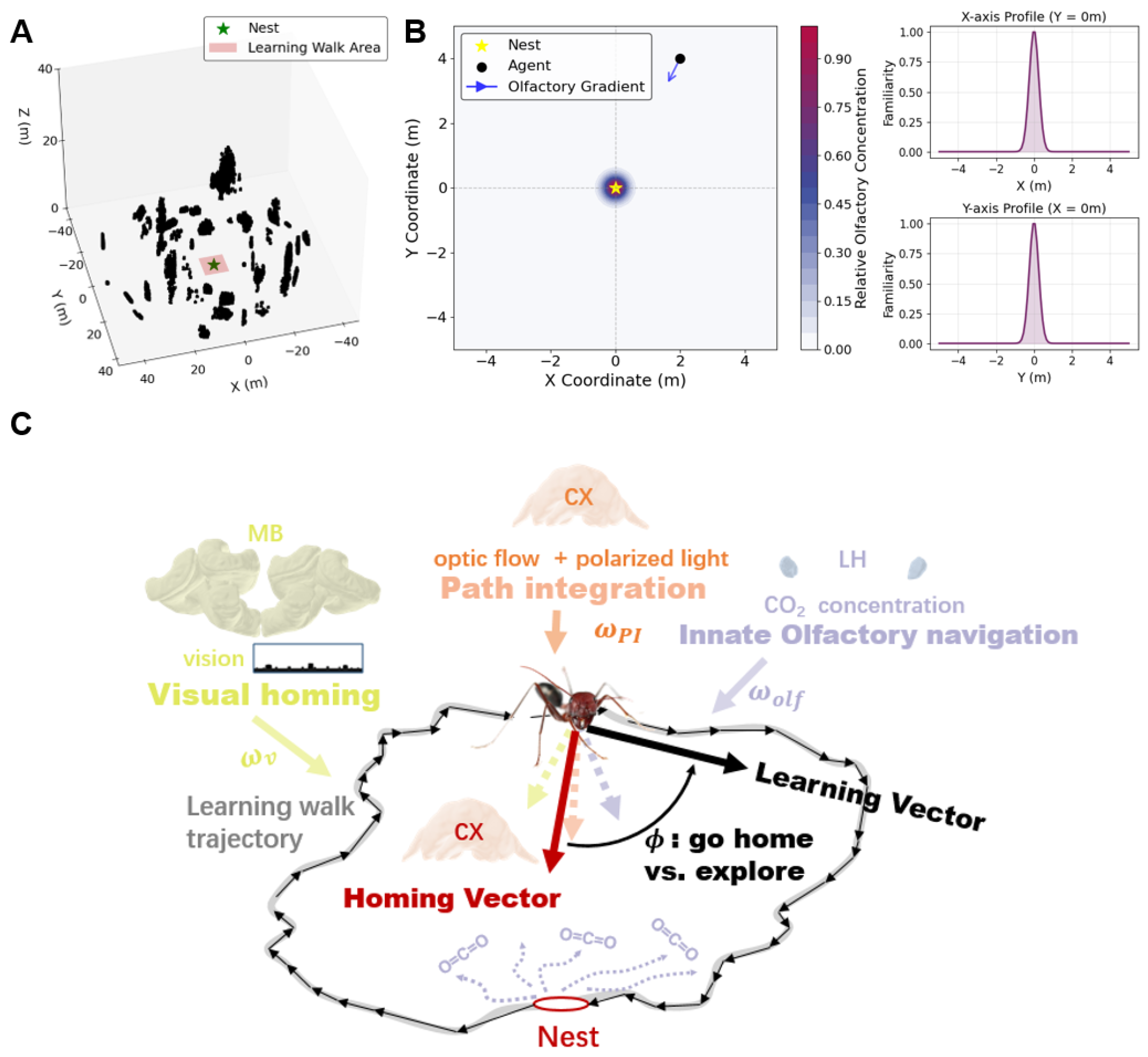 Biomimetics 10 00736 g001 Biomimetics 10 00736 g001