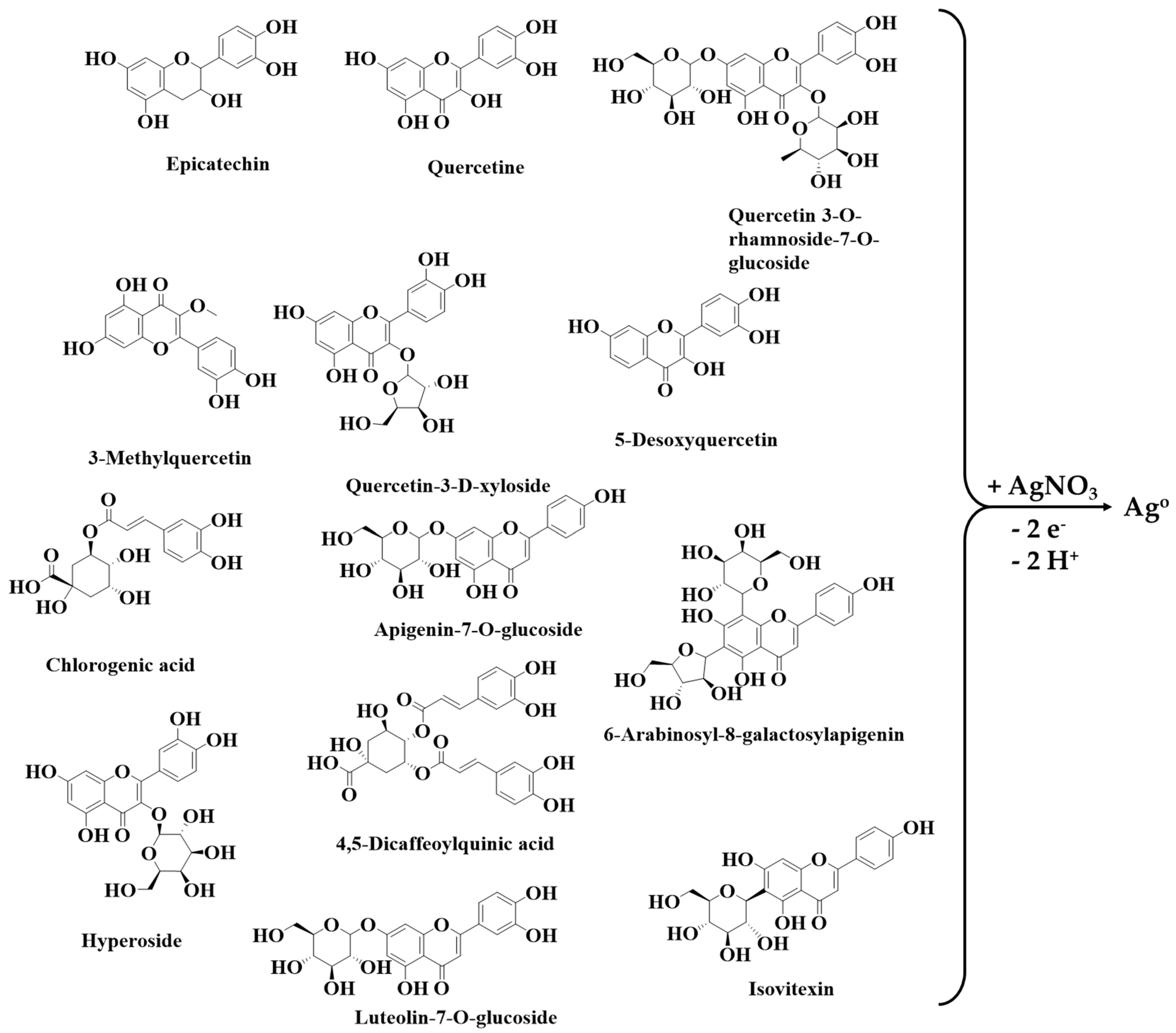 Biomimetics 10 00737 g002 Biomimetics 10 00737 g002