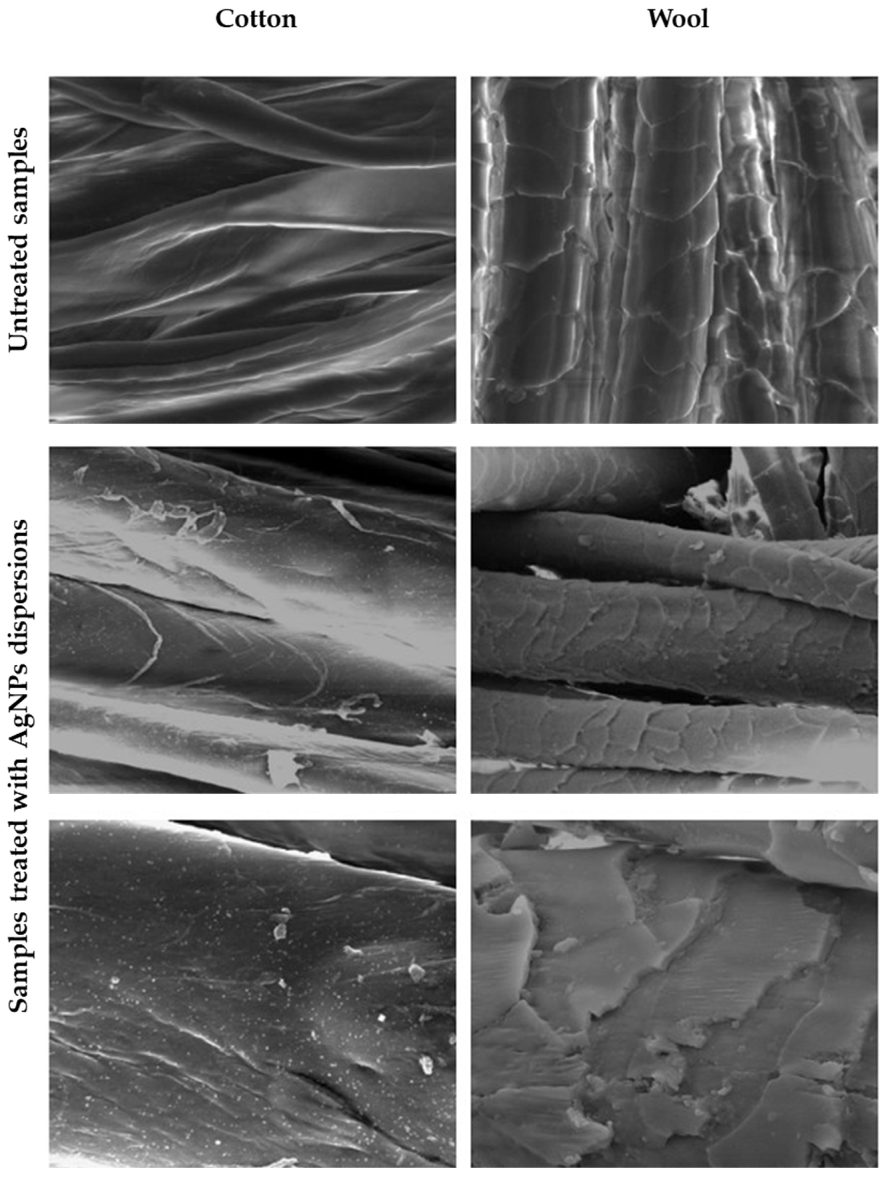 Biomimetics 10 00737 g011 Biomimetics 10 00737 g011