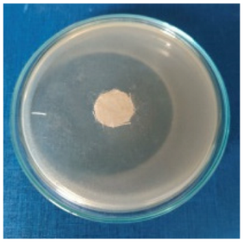 Biomimetics 10 00737 i004 Biomimetics 10 00737 i004