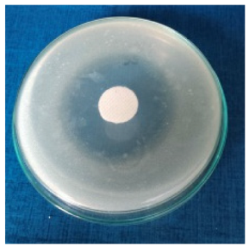 Biomimetics 10 00737 i005 Biomimetics 10 00737 i005