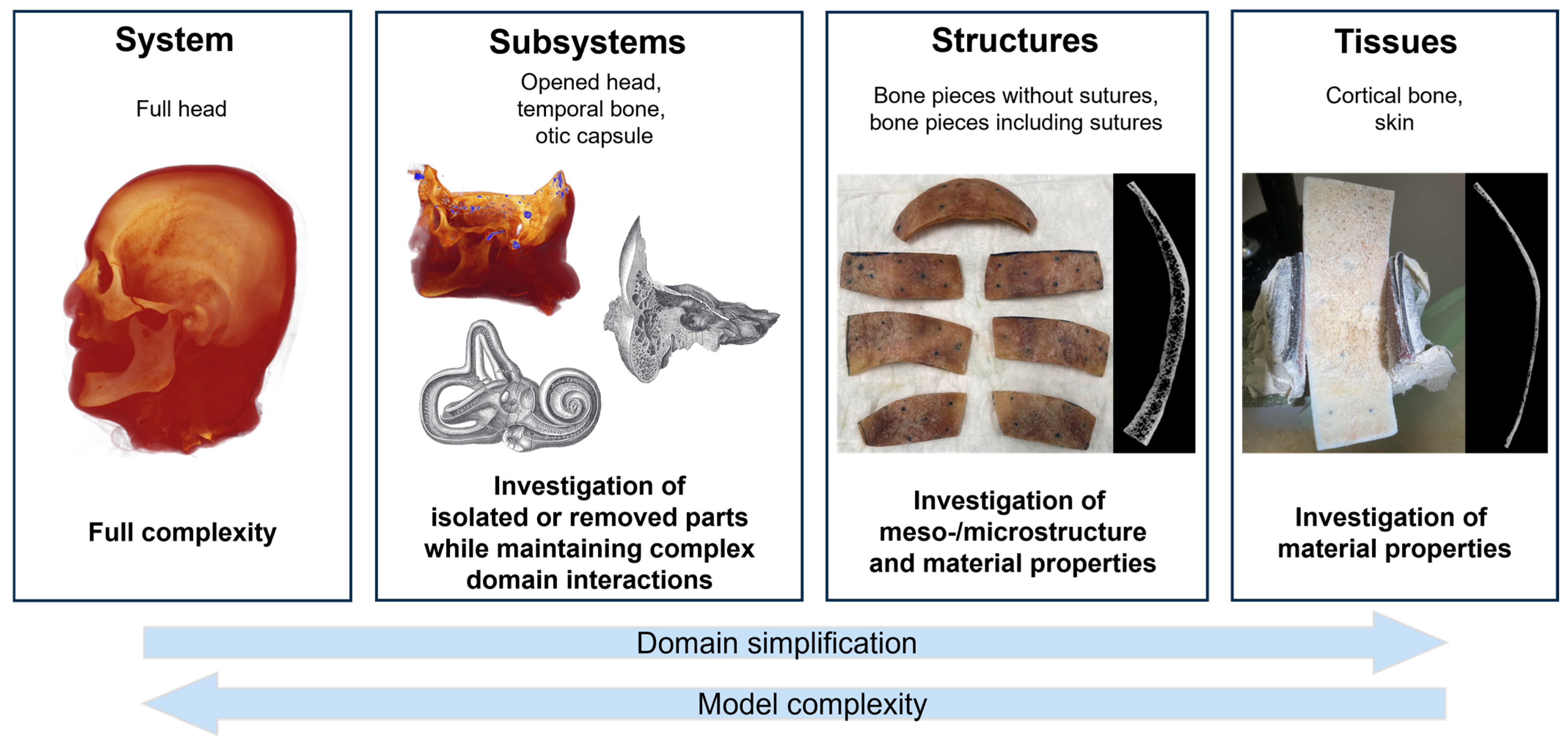 Biomimetics 10 00738 g001
