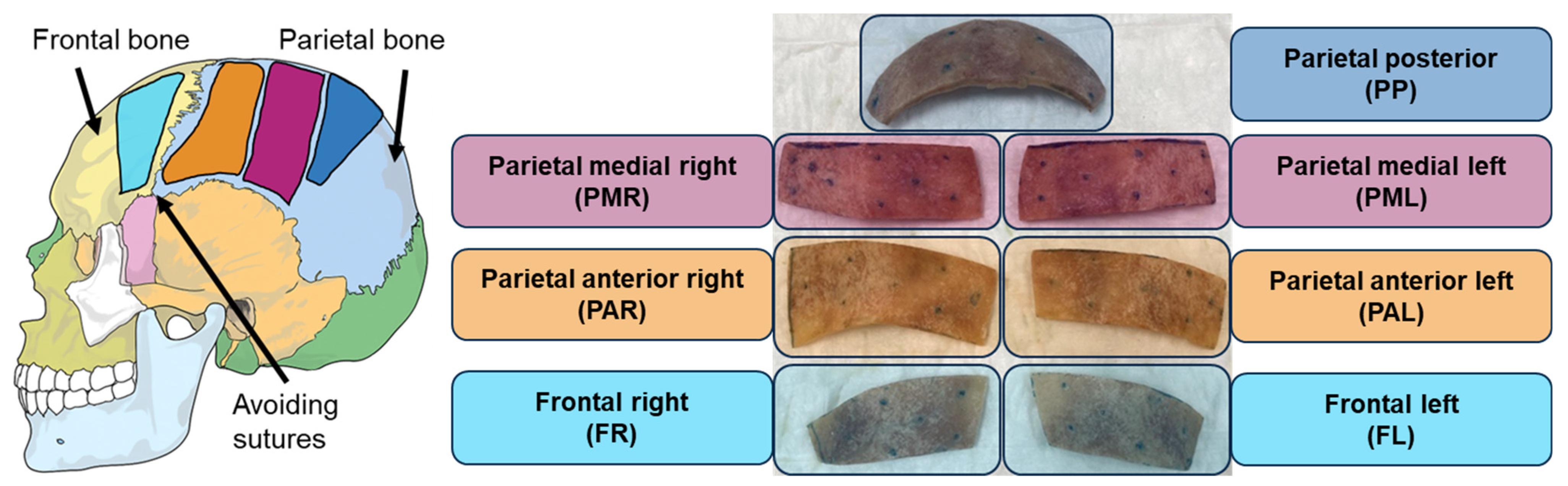 Biomimetics 10 00738 g003