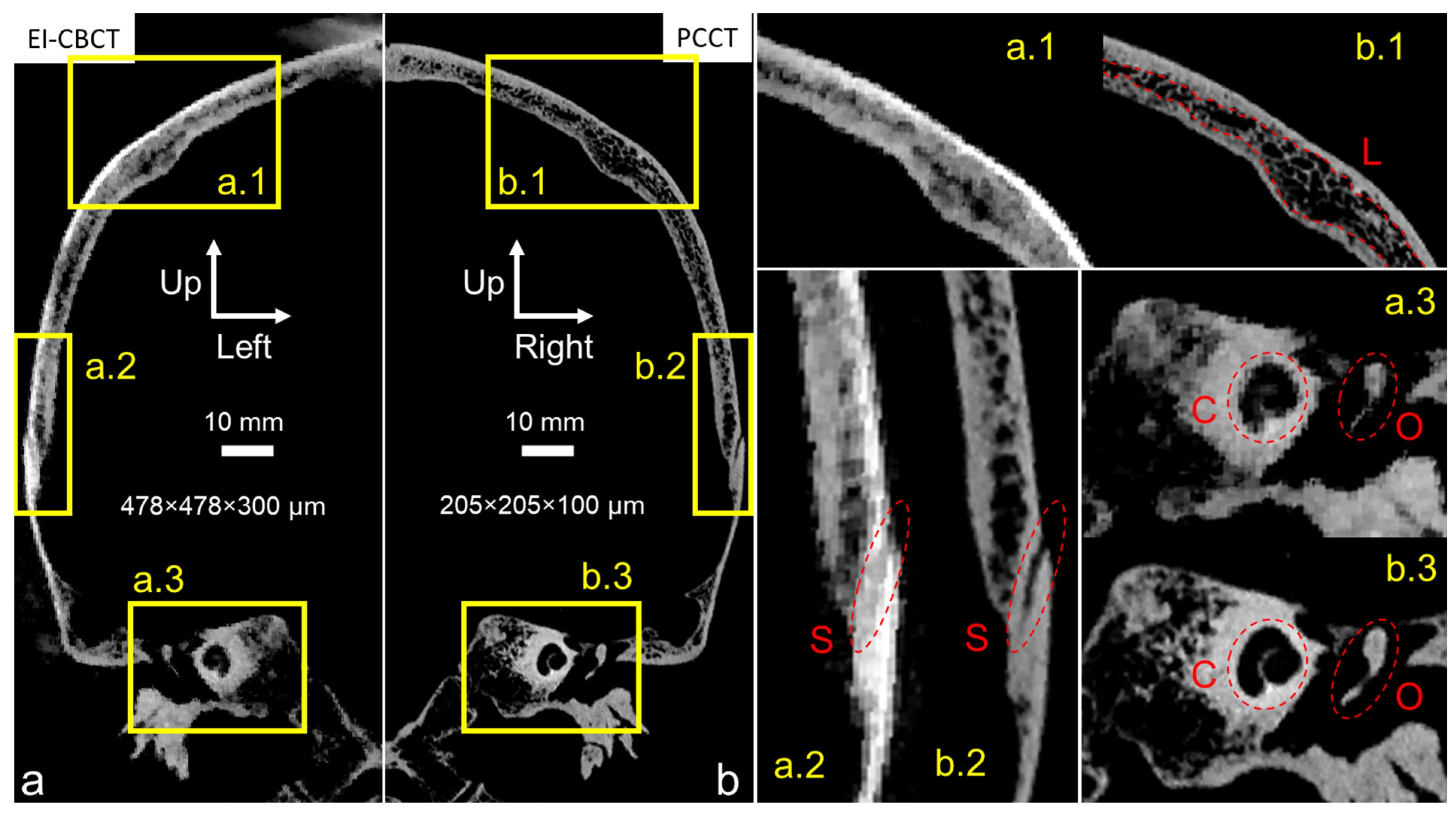 Biomimetics 10 00738 g005