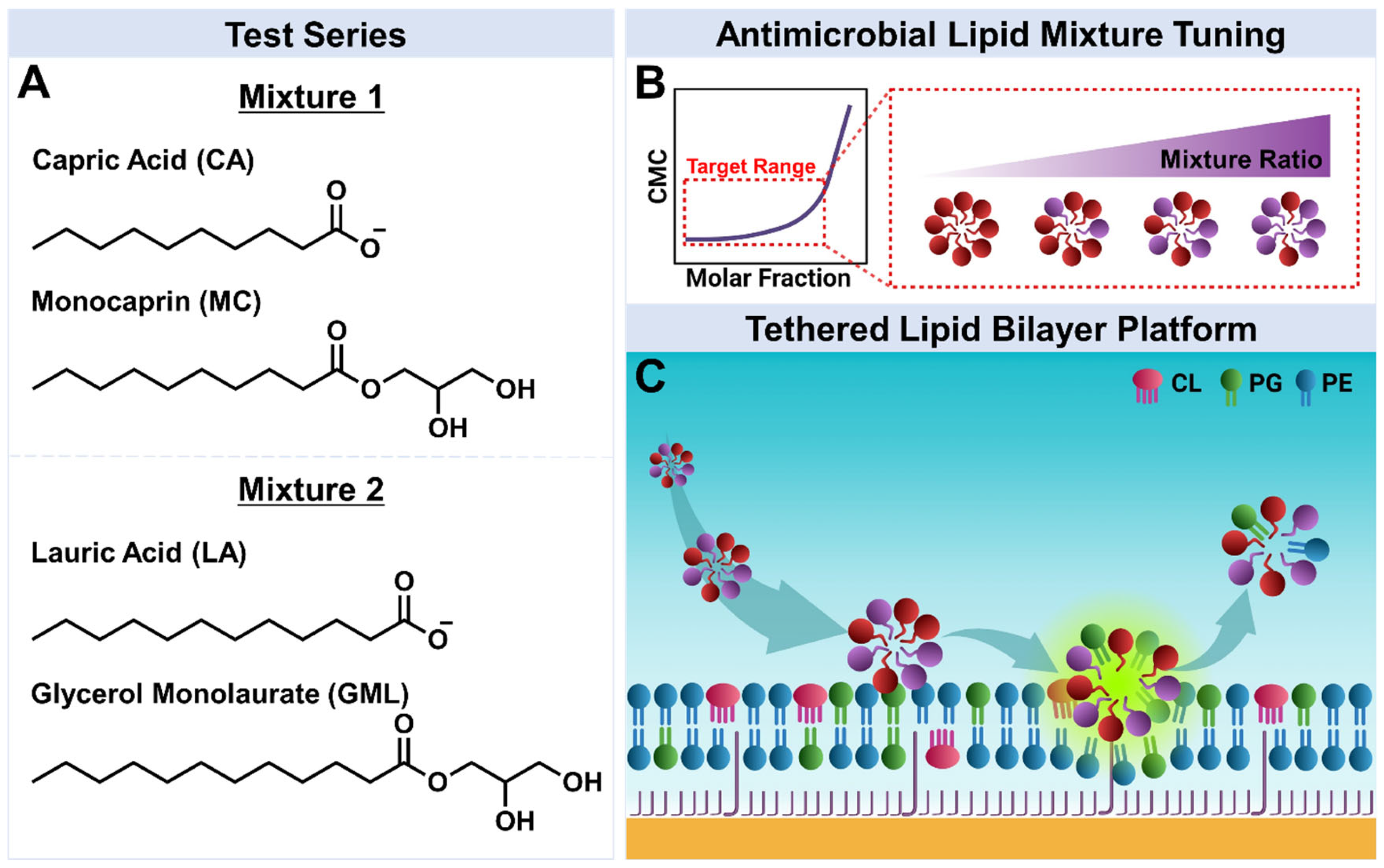 Biomimetics 10 00739 g001 Biomimetics 10 00739 g001