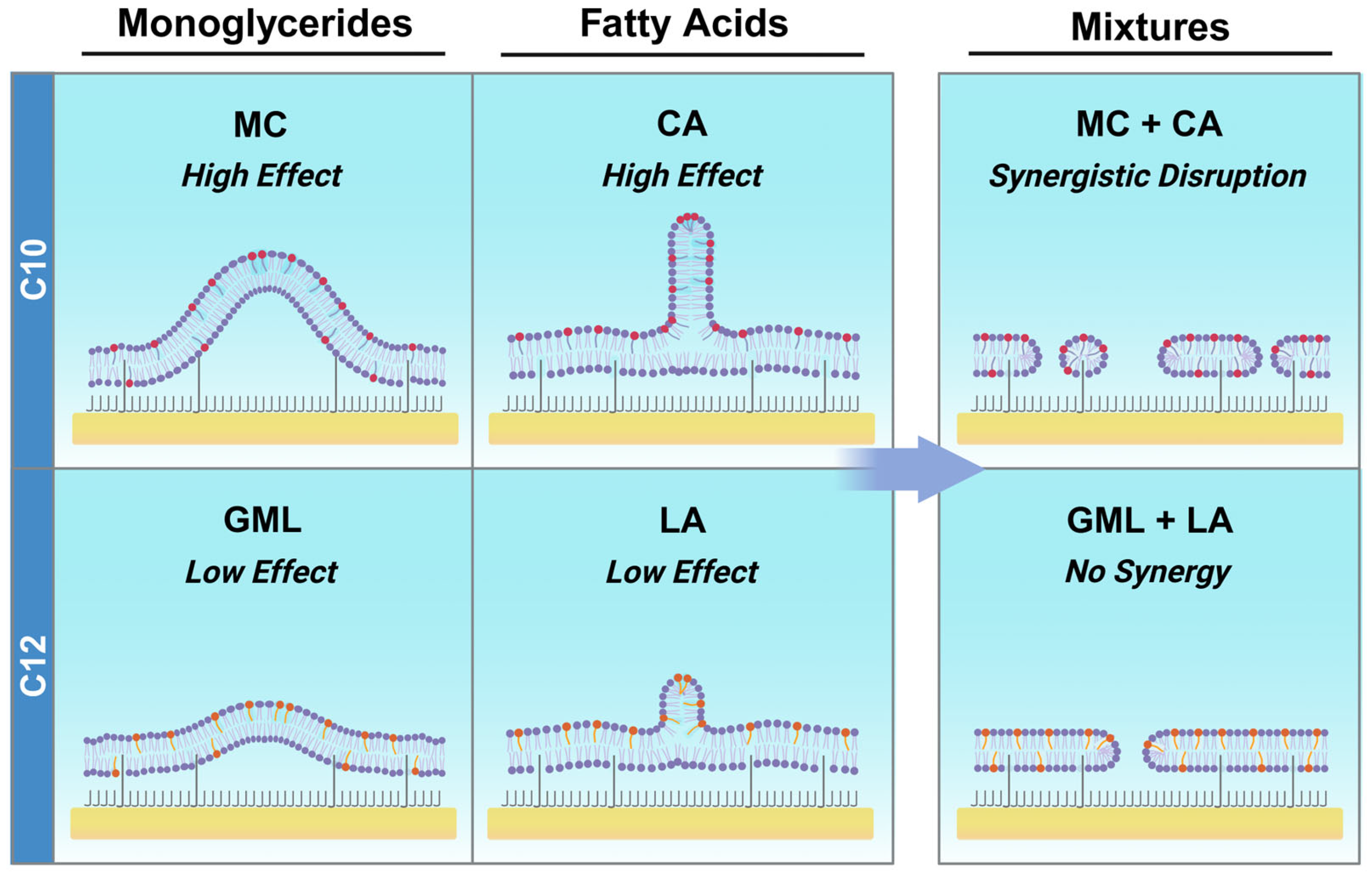 Biomimetics 10 00739 g007 Biomimetics 10 00739 g007