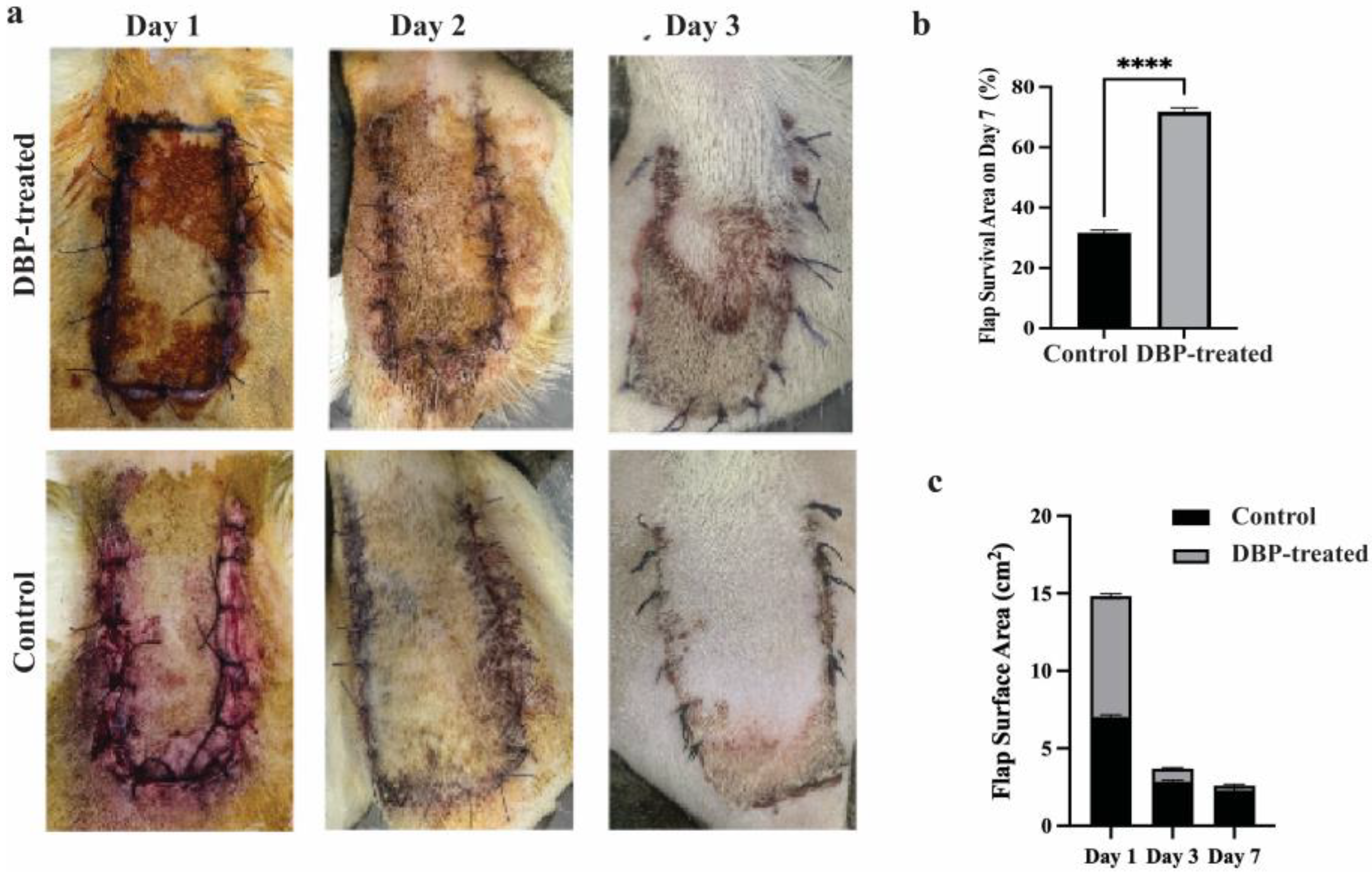 Biomimetics 10 00741 g001 Biomimetics 10 00741 g001