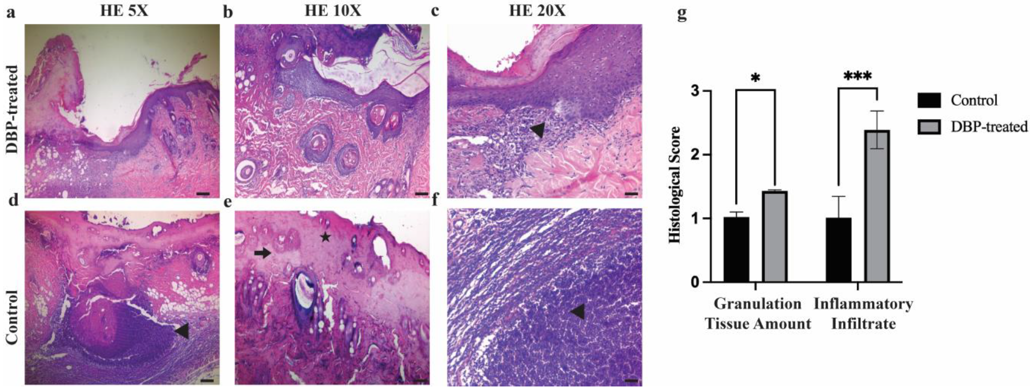 Biomimetics 10 00741 g002 Biomimetics 10 00741 g002