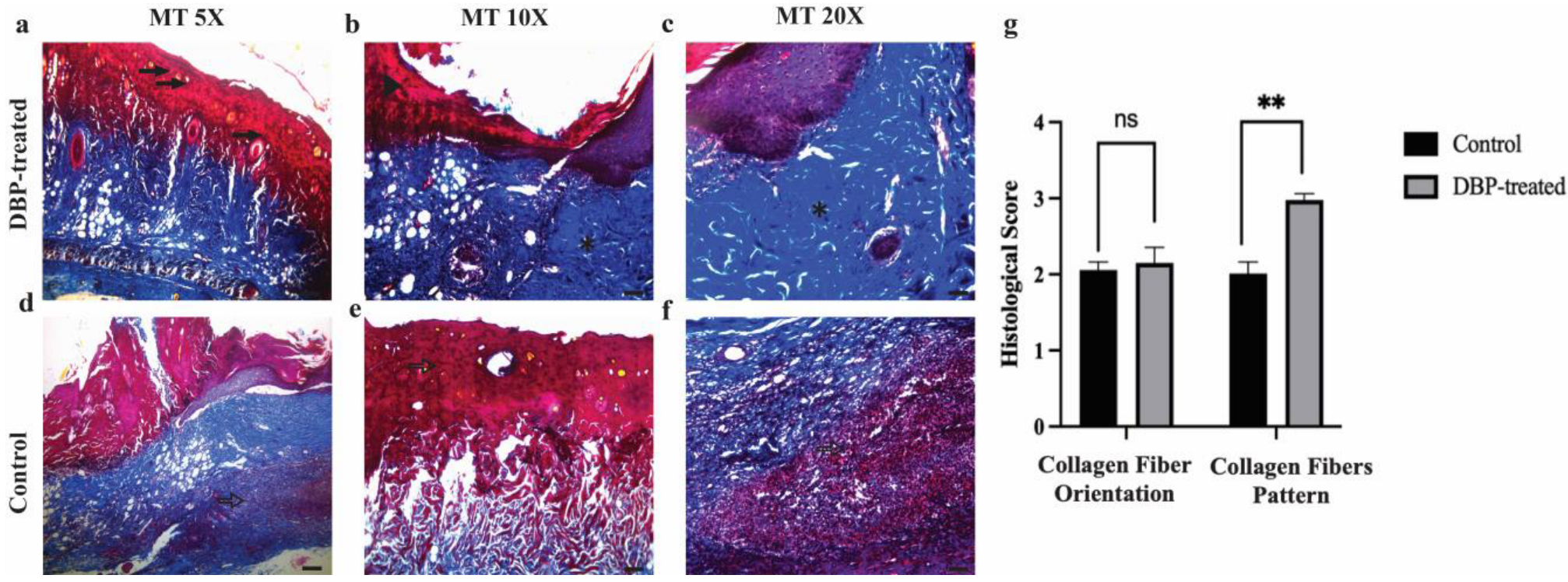 Biomimetics 10 00741 g003 Biomimetics 10 00741 g003