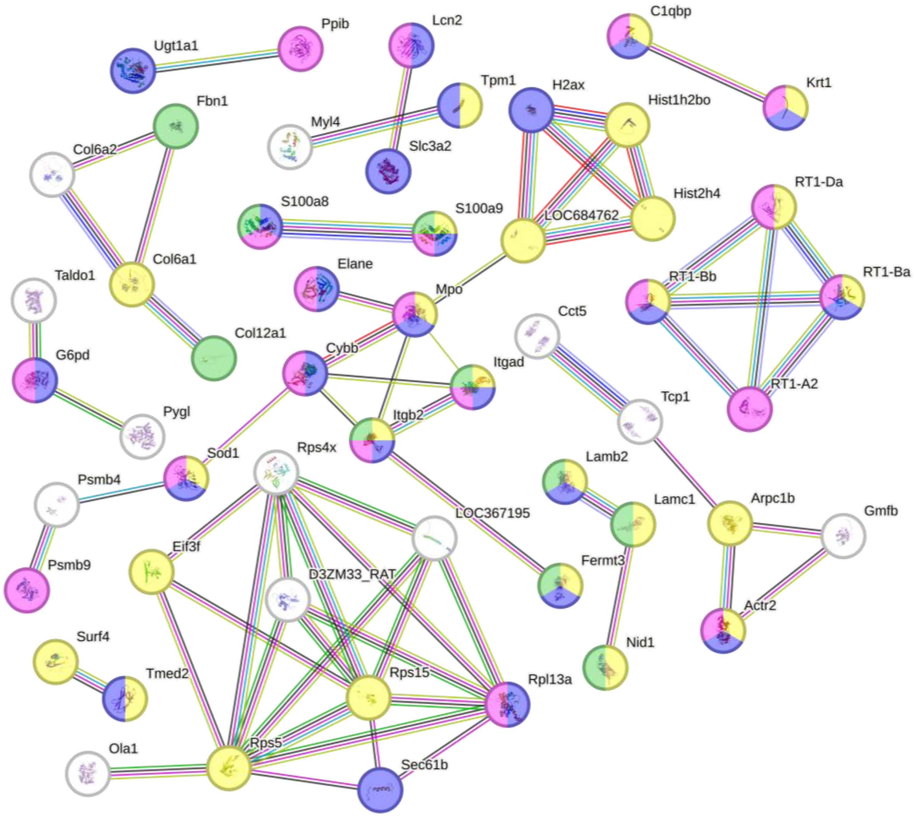 Biomimetics 10 00741 g006 Biomimetics 10 00741 g006
