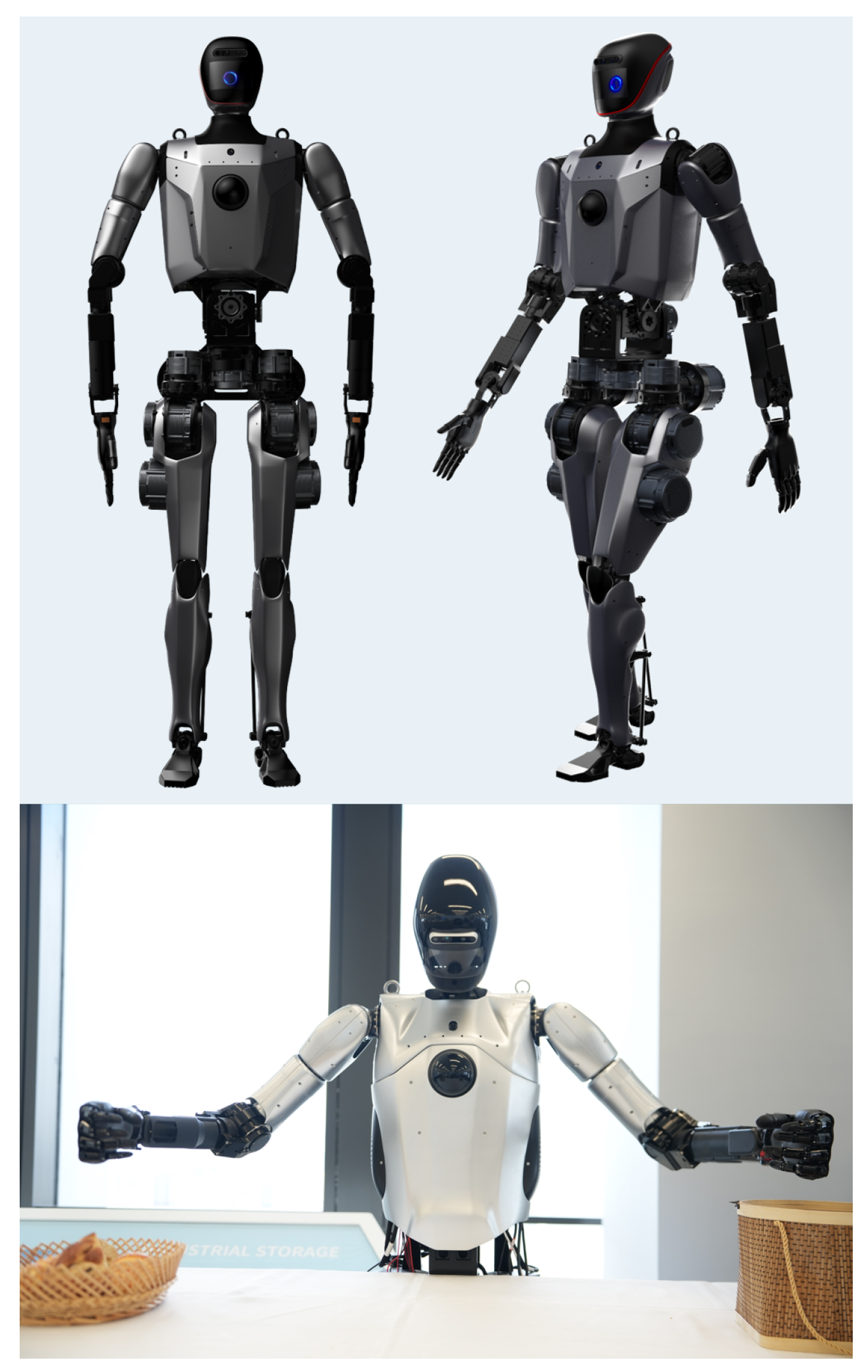 Biomimetics 10 00745 g001 Biomimetics 10 00745 g001